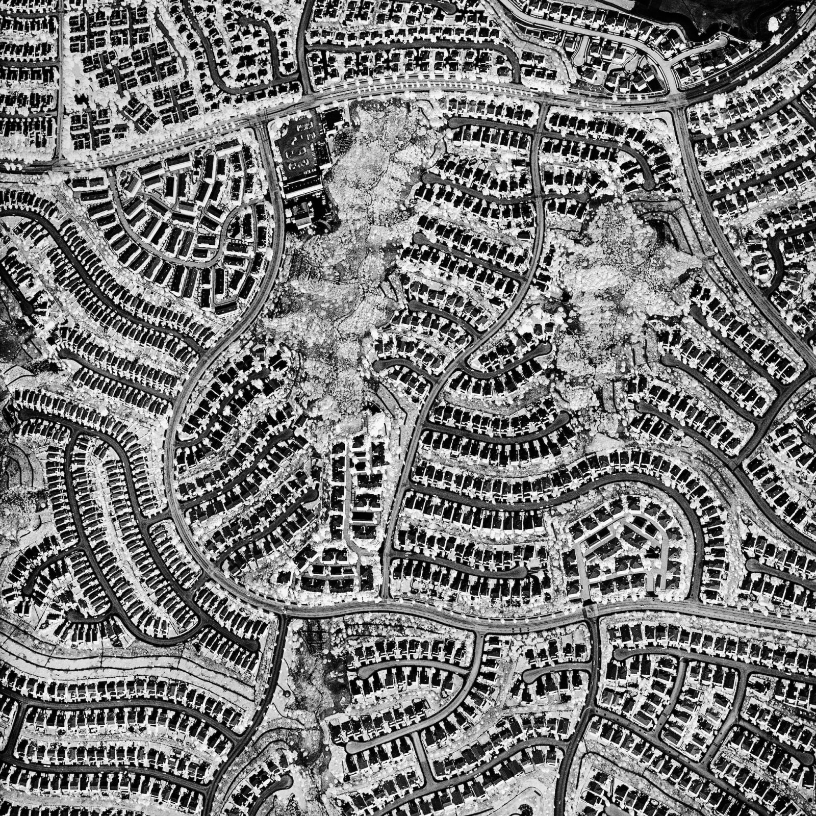black and white aerial photograph of dense houses and curvy roads in Los Angeles, by David Maisel