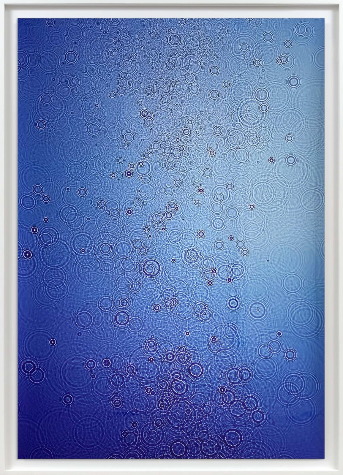 Adam Fuss, Untitled, 2015