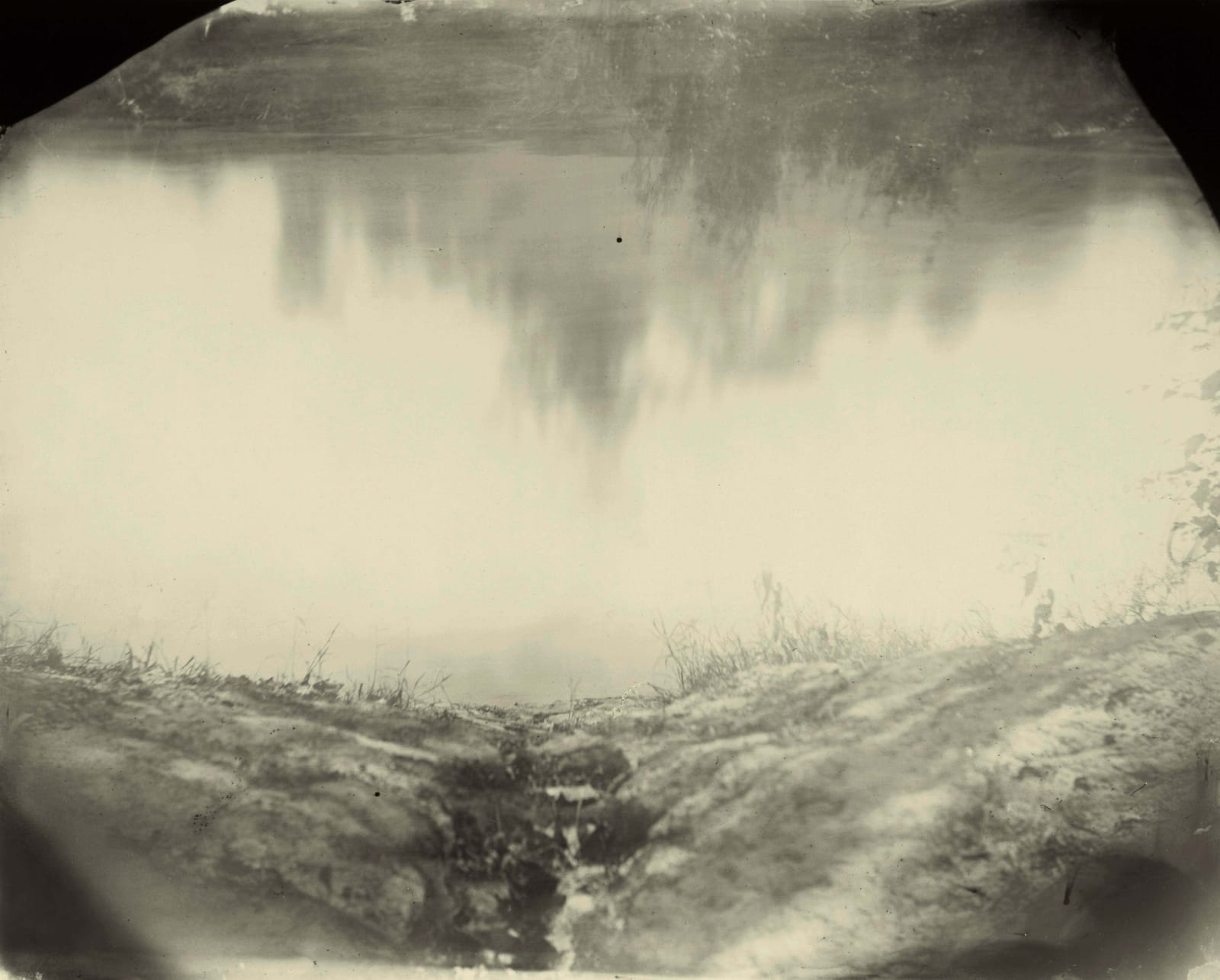 Sally Mann Deep South series, Untitled Emmett Till River Bank, photograph of riverbank where Emmett Till's body was recovered