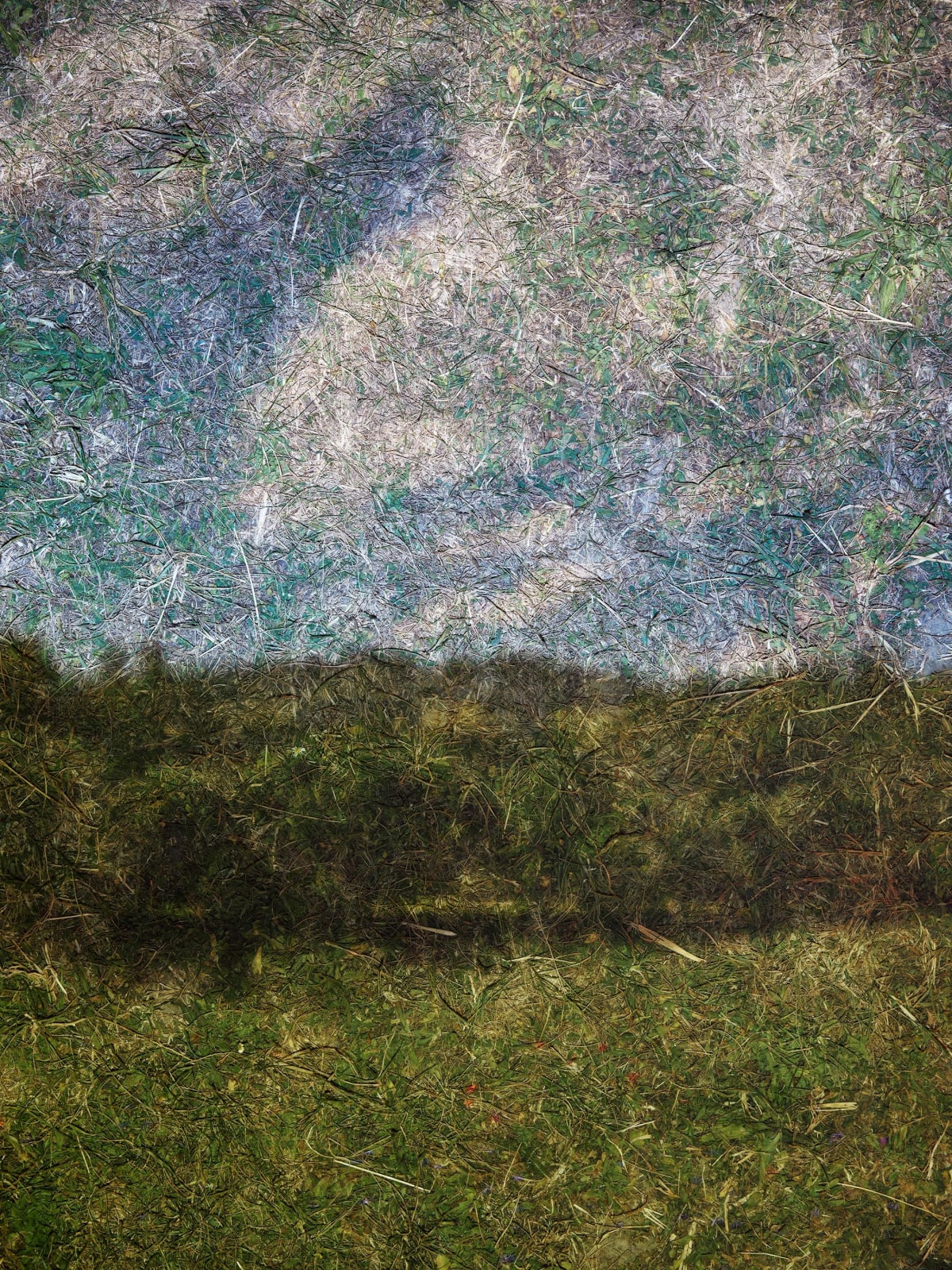 Abelardo Morell, Tent-Camera Image on Ground: Field and Clouds, Giverny, France, 2023