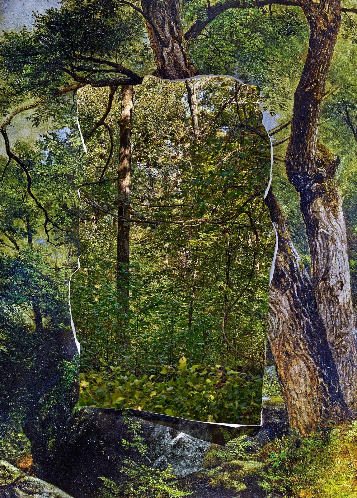 Abelardo Morell Picturing the South Cutout in Print with Trees Behind showing green forest