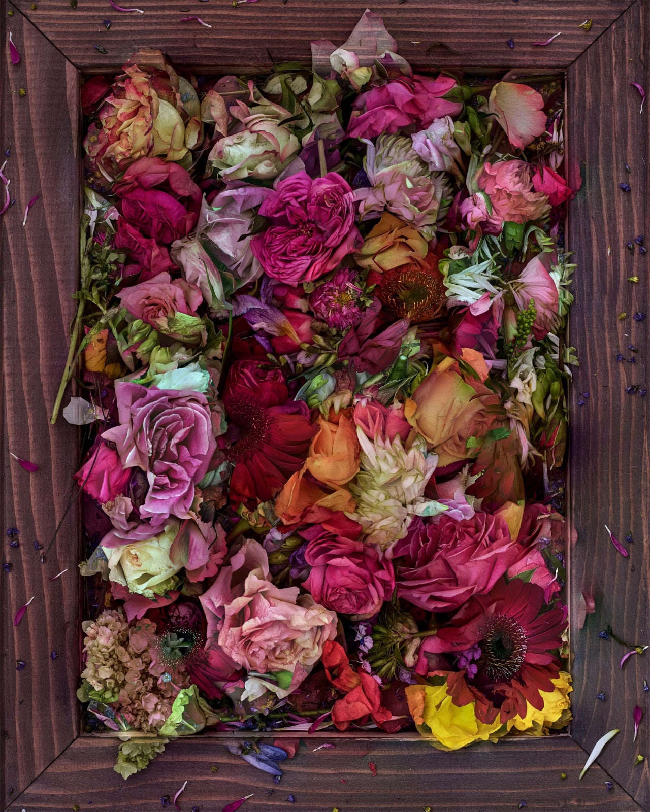 Abelardo Morell Flowers for Lisa #8 pink flowers set in wood frame
