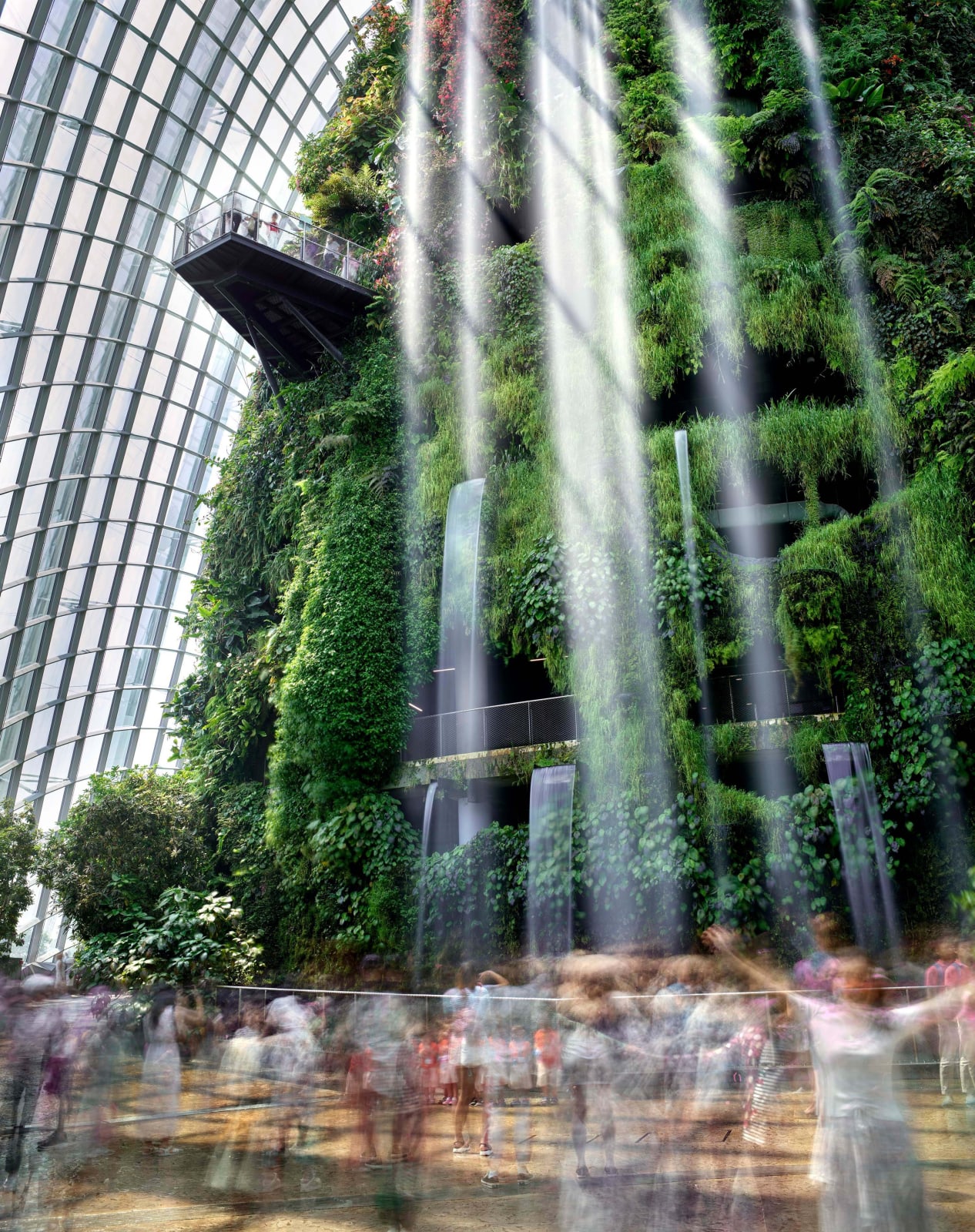 Matthew Pillsbury, Cloud Forest, Gardens by the Bay, Singapore, 2019