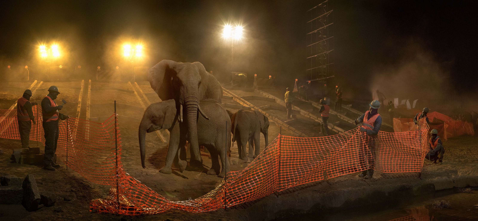 Nick Brandt, Highway Construction With Elephants, Workers & Fence, 2018