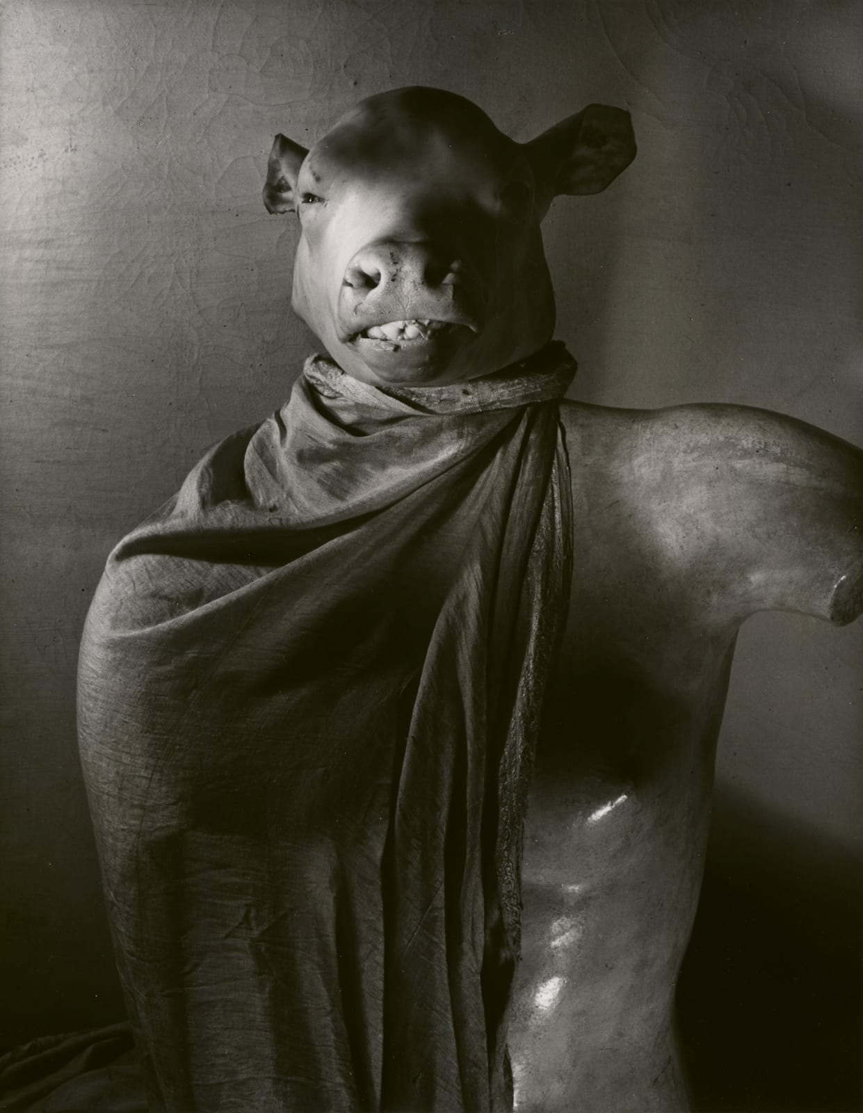 Erwin Blumenfeld The Dictator pig's head with cape