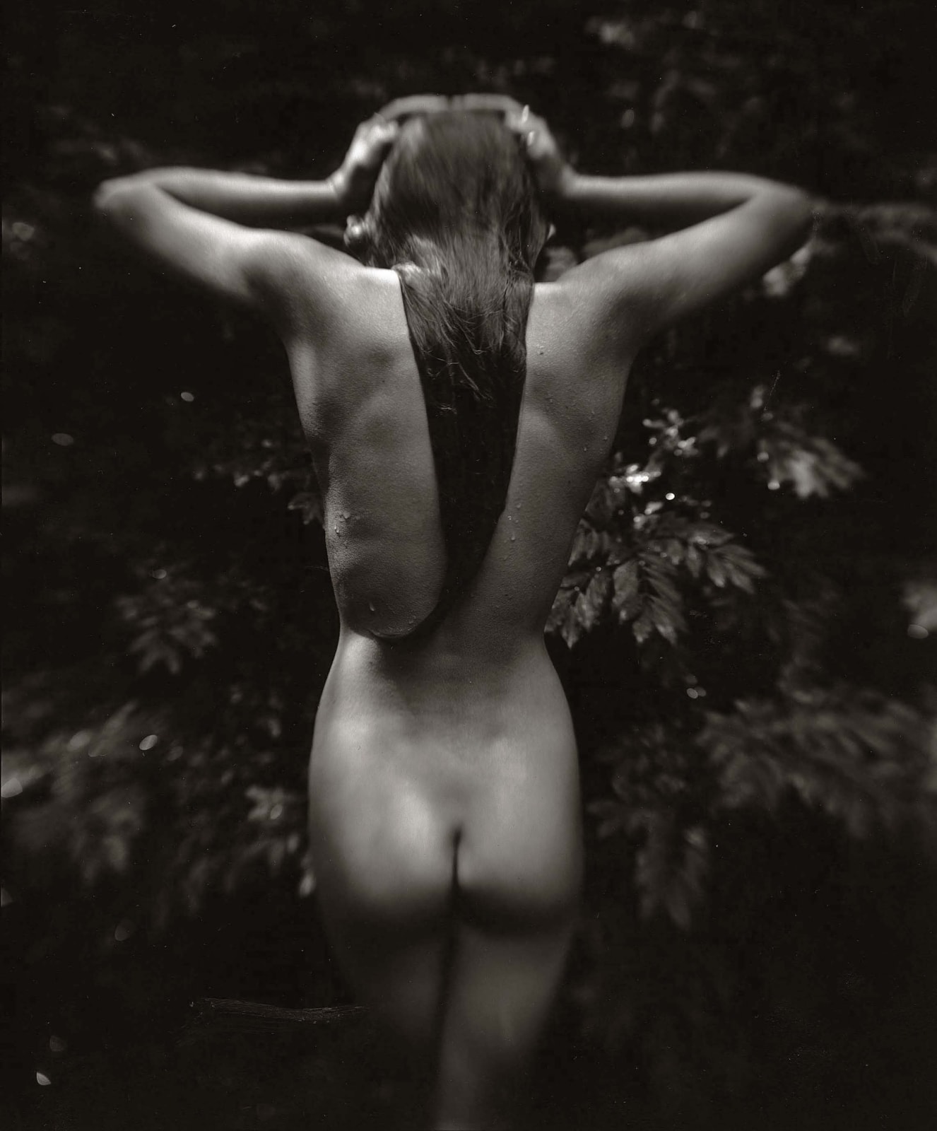 Punctus, Jessie from behind with hands on head, from the Immediate Family series by Sally Mann