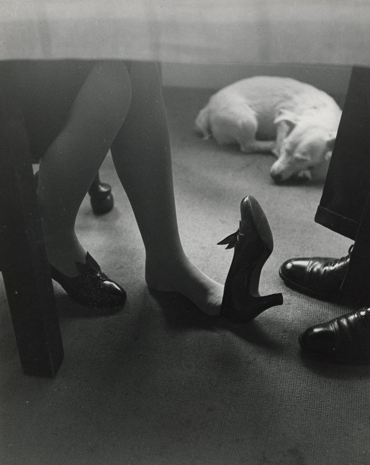 Bill Brandt London photograph of woman's legs with foot slipped out of shoe underneath table with men's shoes across from her and white dog curled in corner