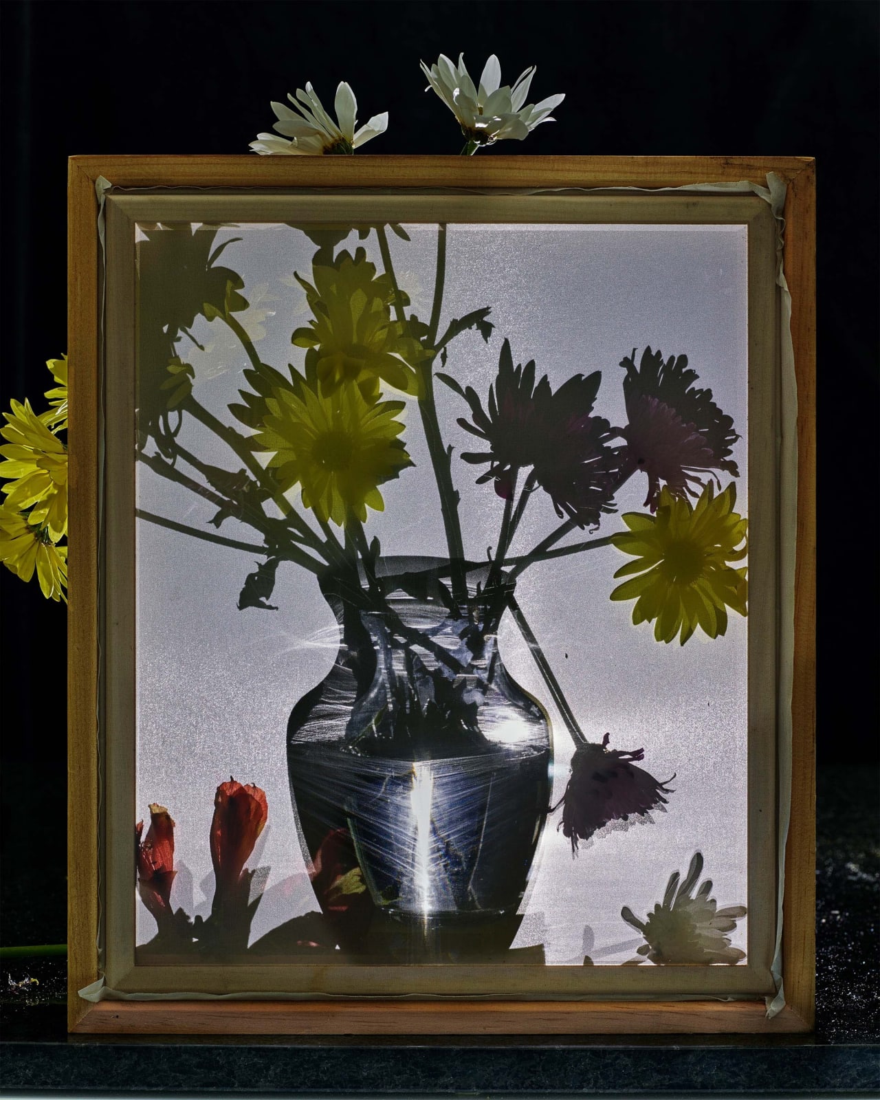 Abelardo Morell Flowers for Lisa #19 vase of yellow flowers behind screen