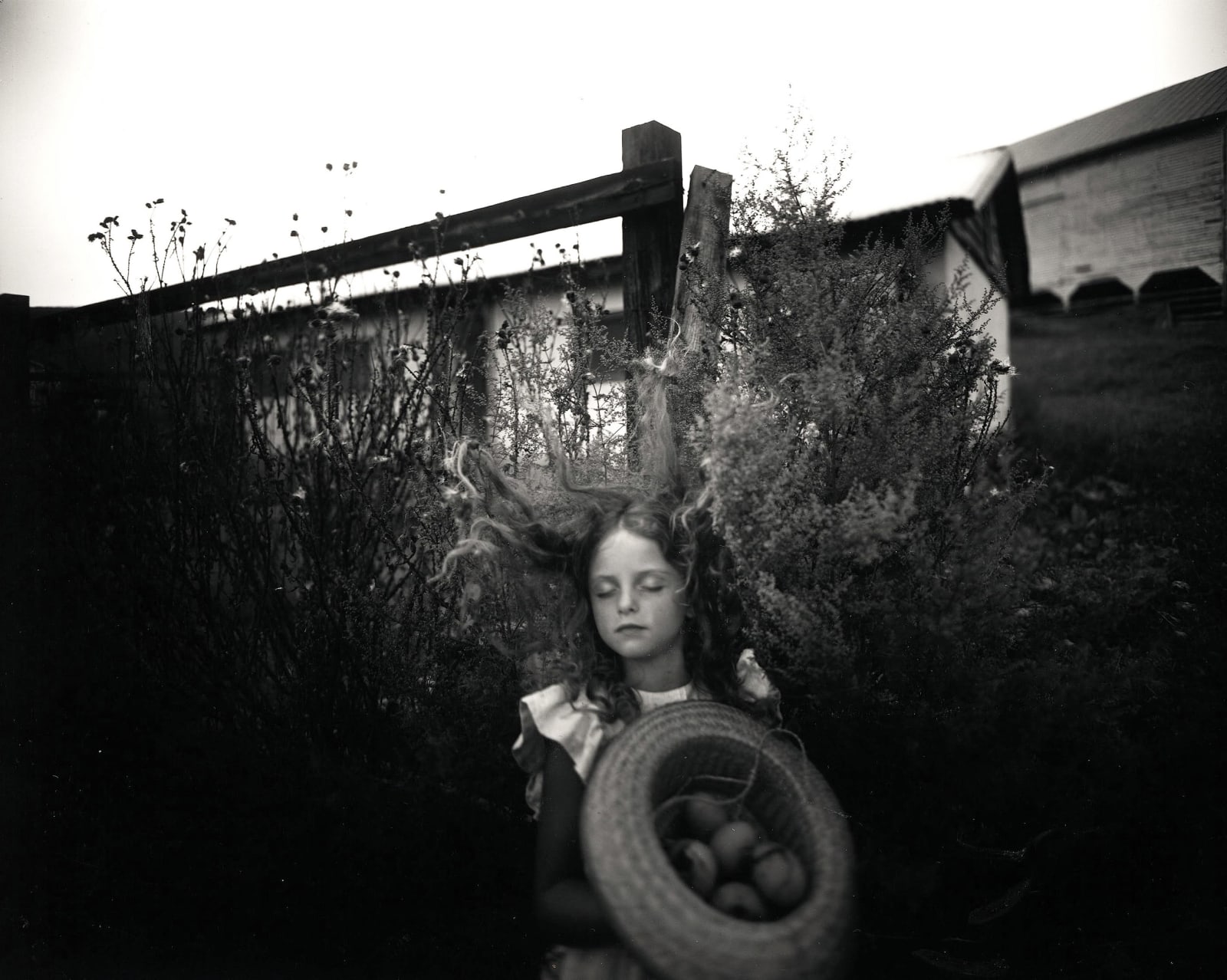 Sally Mann photograph from Immediate Family series of young girl with eyes closed in yard holding basket of eggs with fence and barn in background