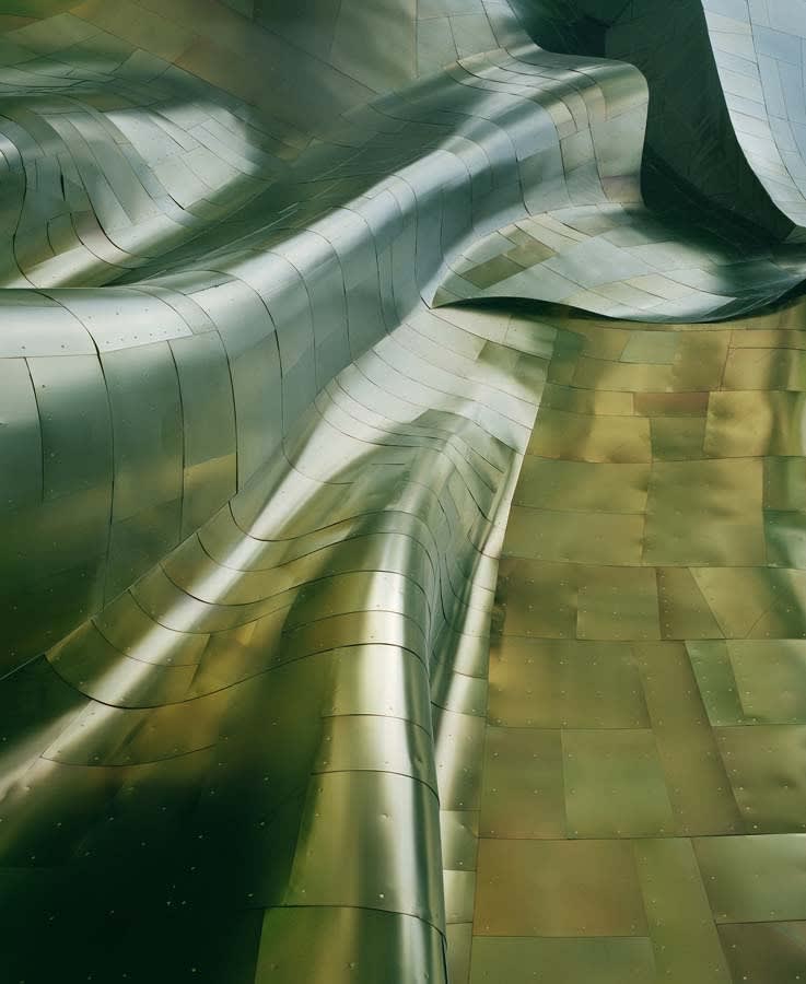 Michael Eastman, Gehry #2, Seattle, 2011