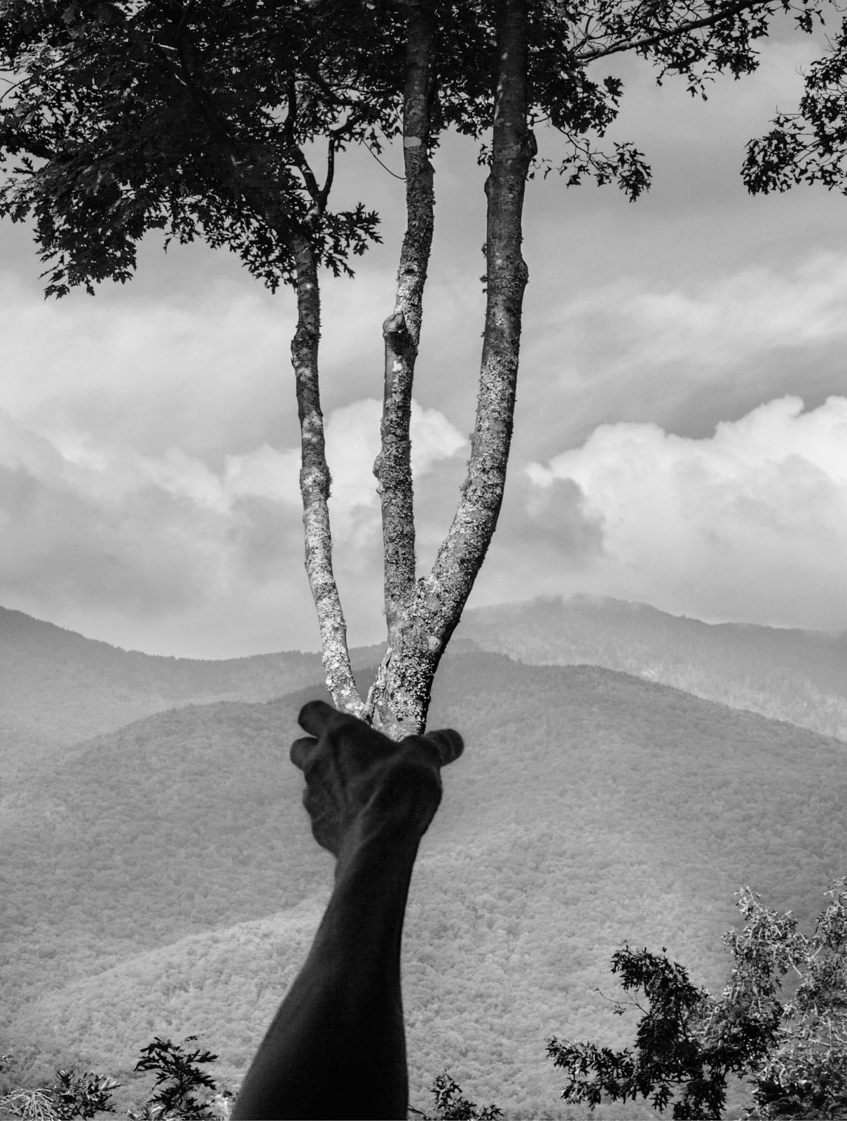 Arno Minkkinen, Halfway Up Mt. Mitchell, Burnsville, NC, 2013