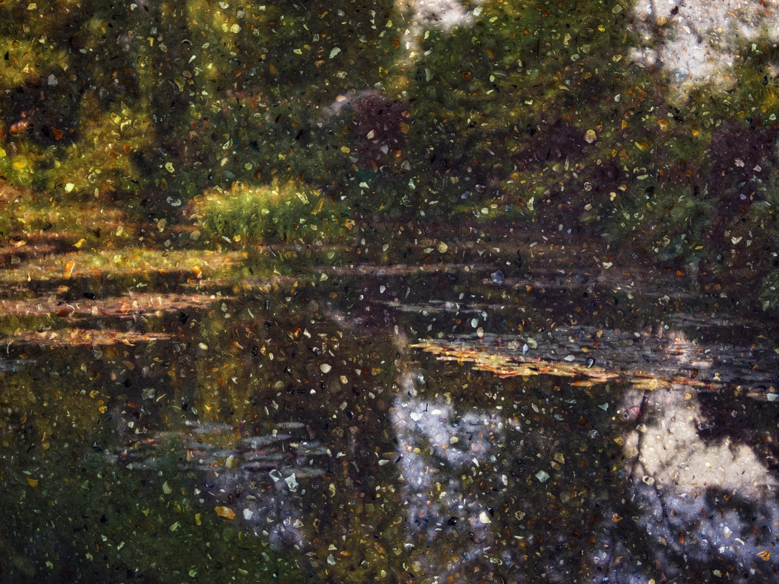 Abelardo Morell, Tent-Camera Image on Ground: View of Monet's Water Garden #1, Giverny, France, 2023