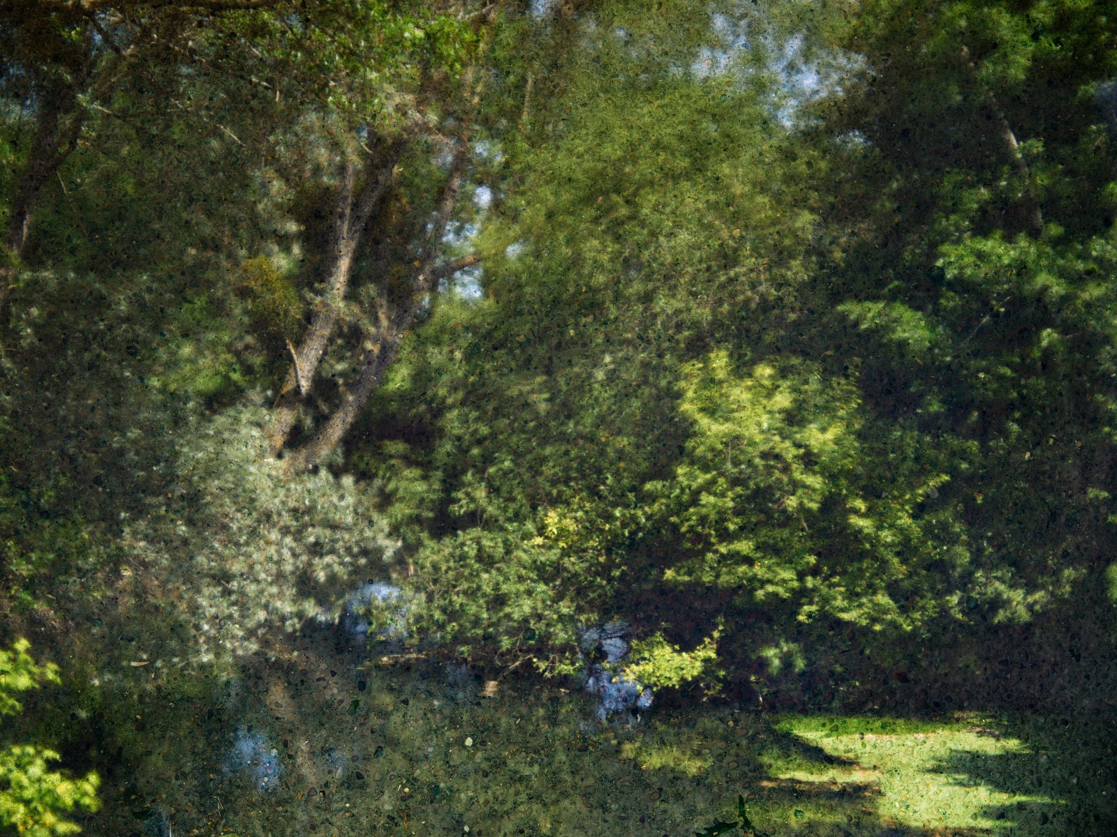 Abelardo Morell, Tent-Camera Image on Ground: The Epte River #1, Near Giverny, France, 2023
