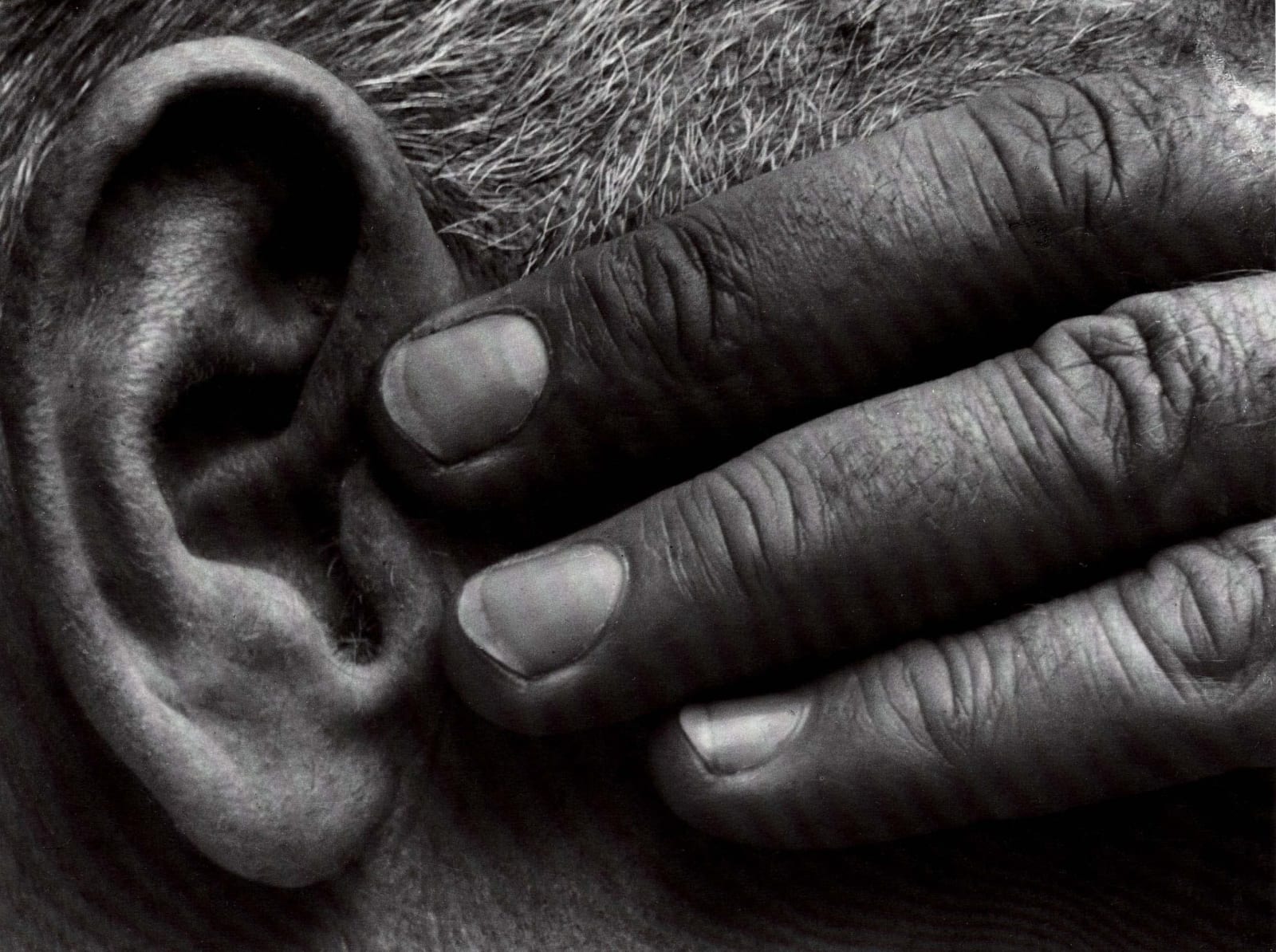 Brett Weston, Hand and Ear (Ramiel McGehee), 1930