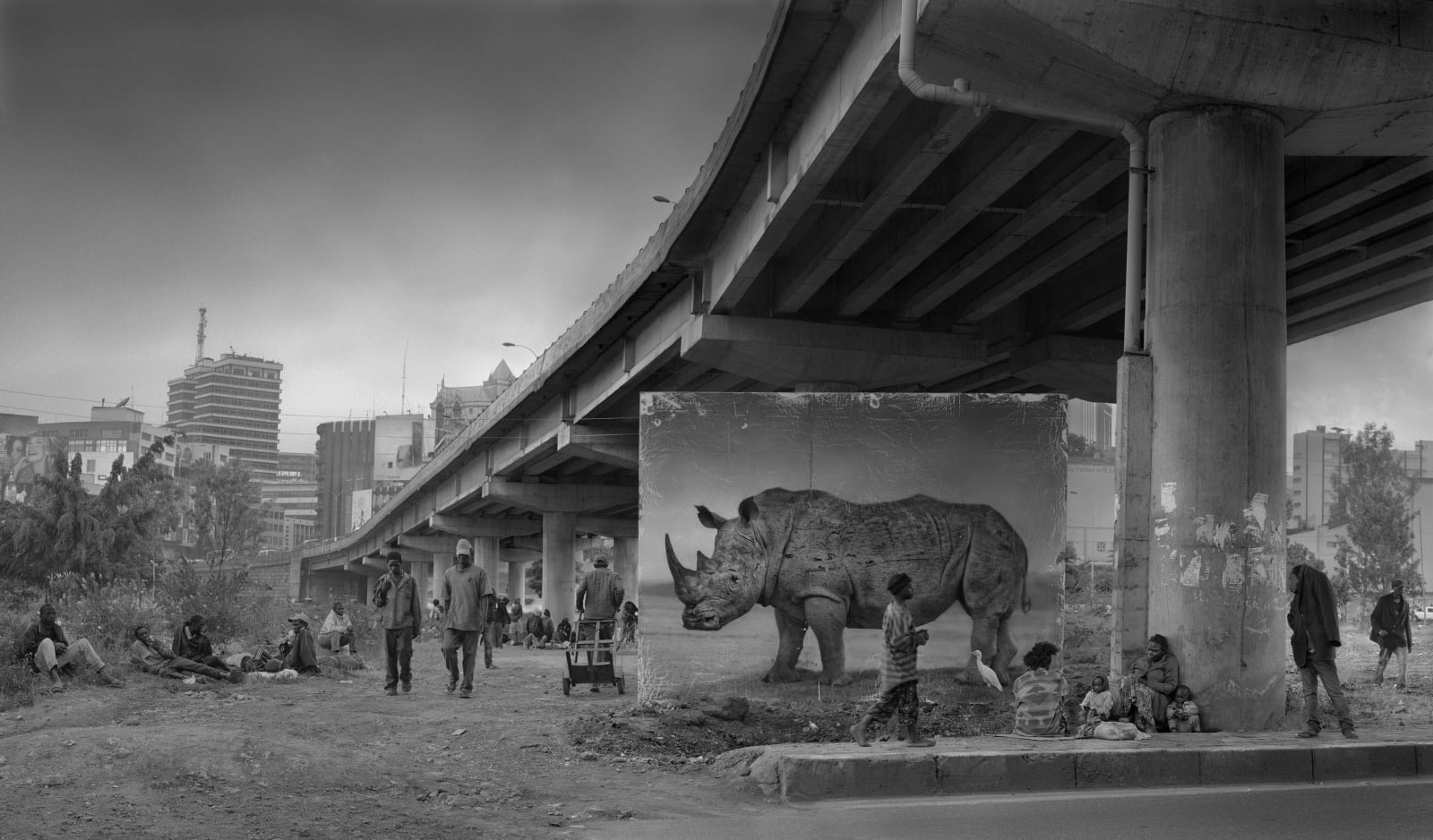 Nick Brandt, Underpass with Rhino & Egret, 2014