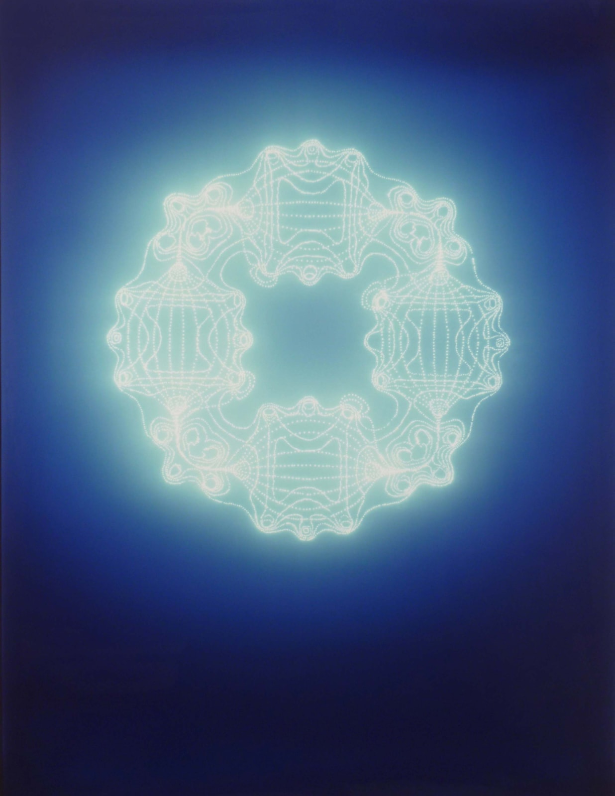 abstract shape from magnetic mirror on cibachrome by Christopher Bucklow