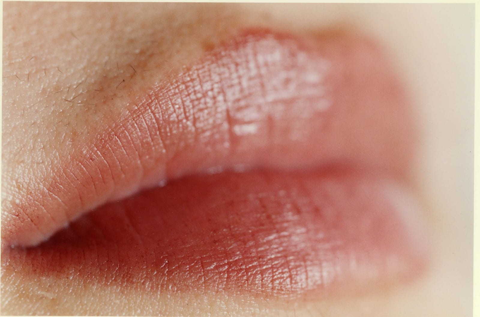 Elinor Carucci LIps and Hair closeup of lips and facial hair