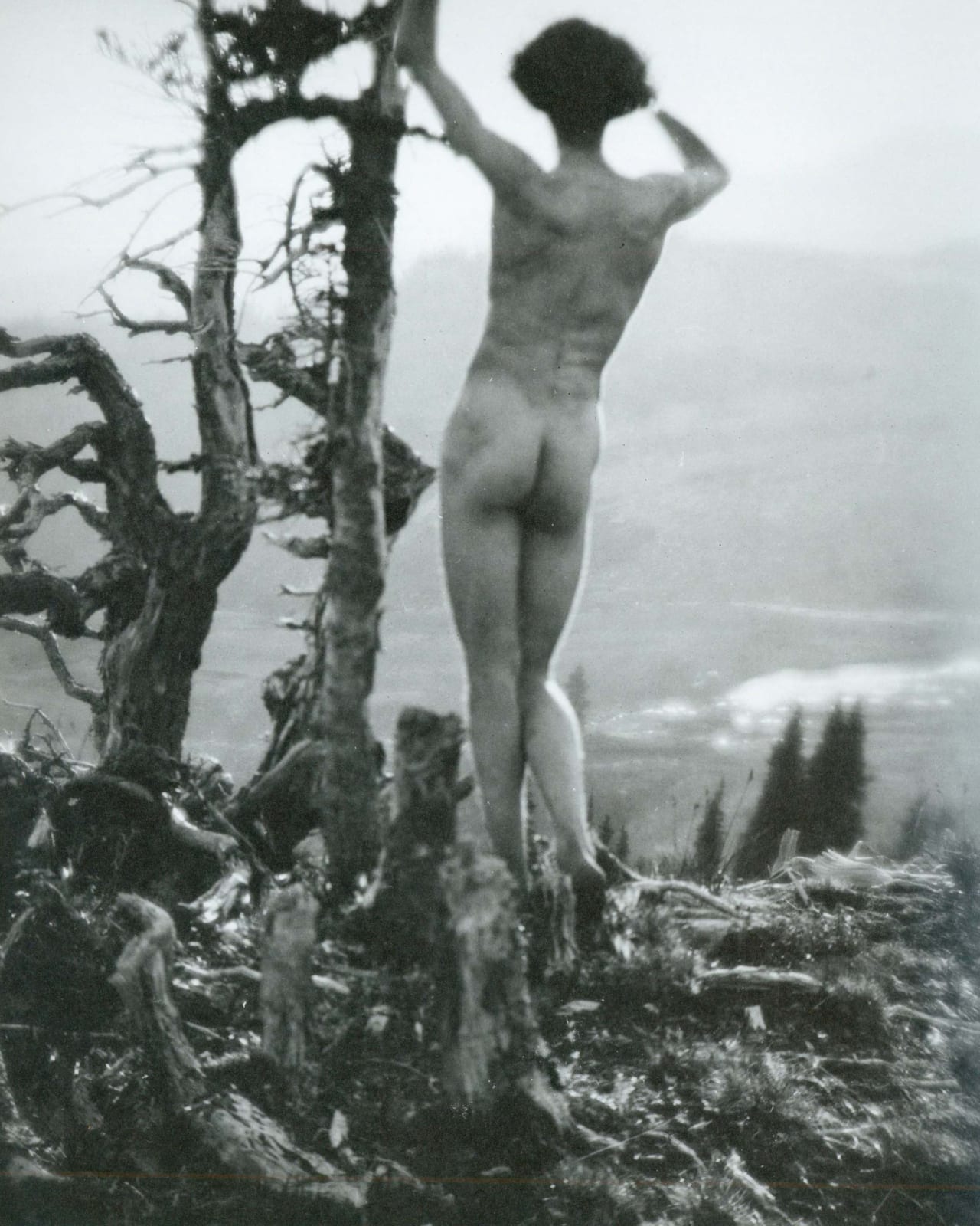 Imogen Cunningham, On Mount Rainier 5, 1915