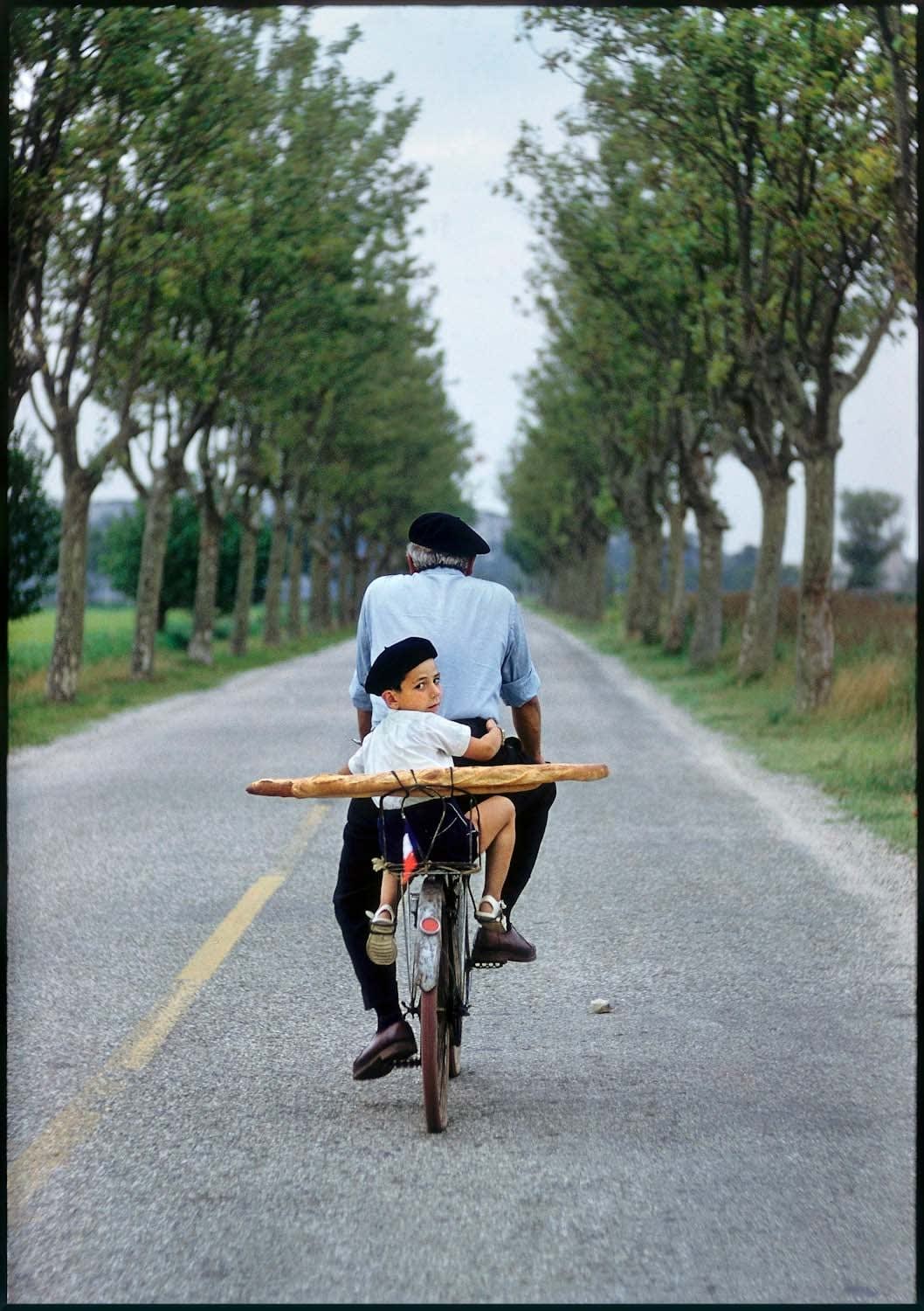 Elliott Erwitt, Provence, France, 1955