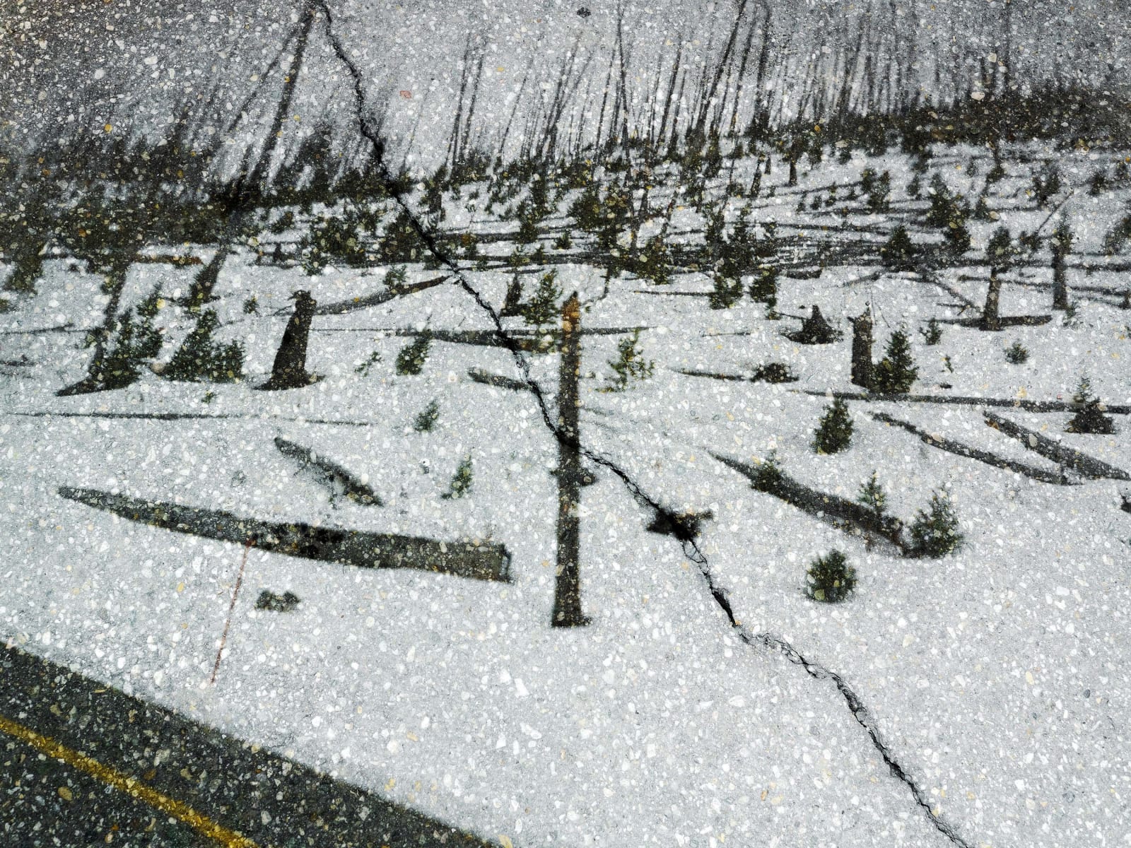 Abelardo Morell Tent Camera Image on Ground View of Tower Hill Yellowstone National Park Wyoming snow on ground in burnt forest with crack in pavement