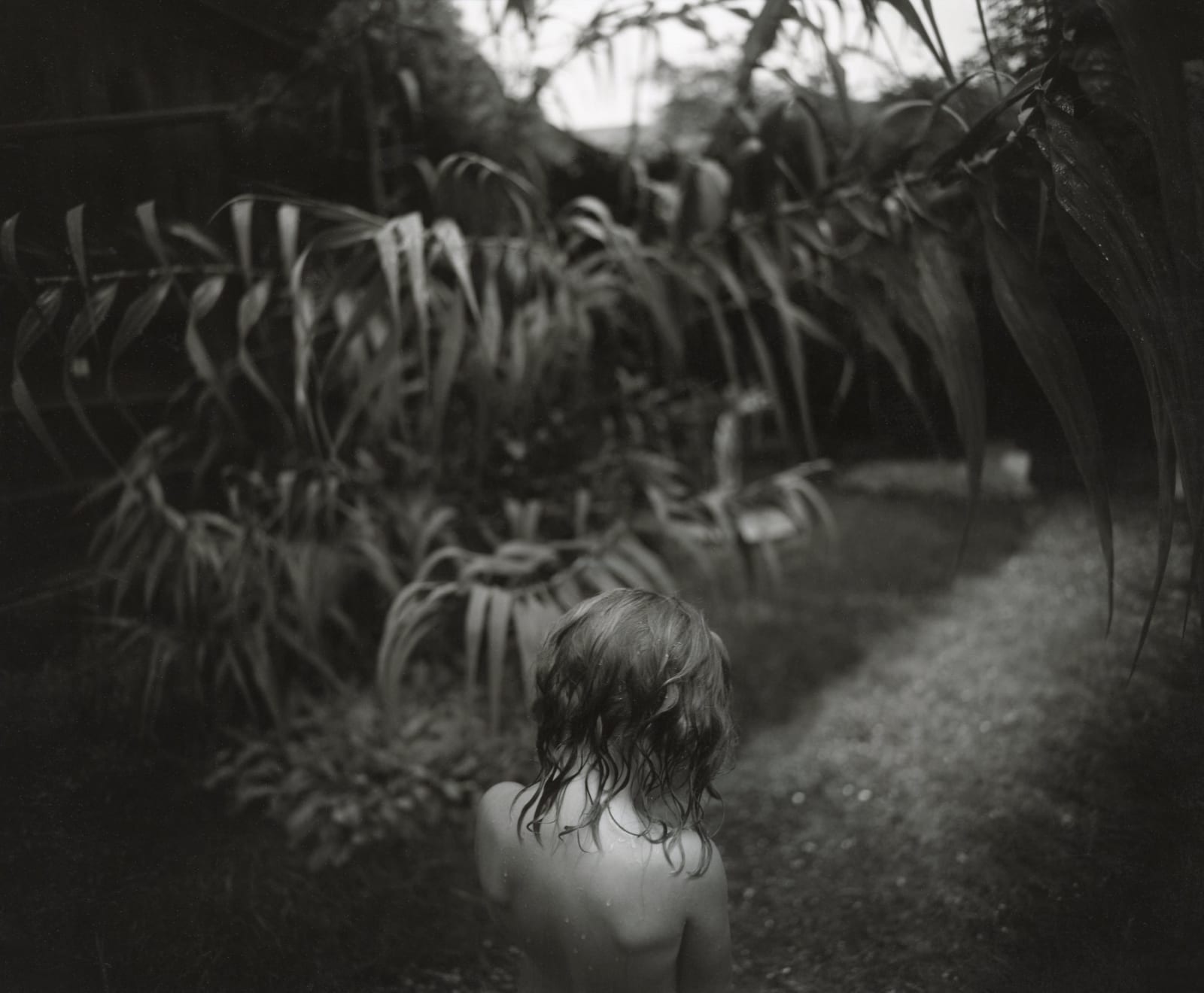 Virginia with wet hair and Arundo donax plants in background, from the Immediate Family series by Sally Mann