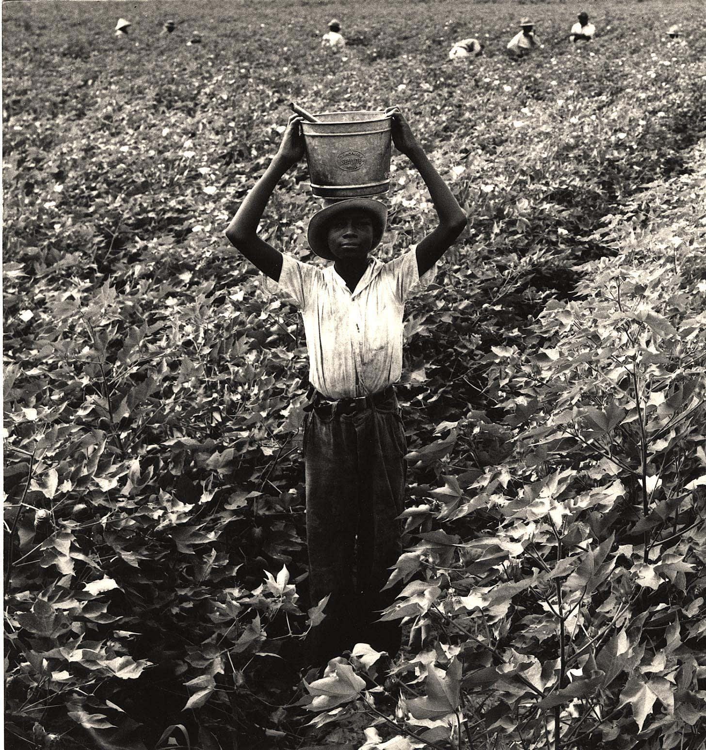 Dorothea Lange, Water Boy, Mississippi Delta, 1938