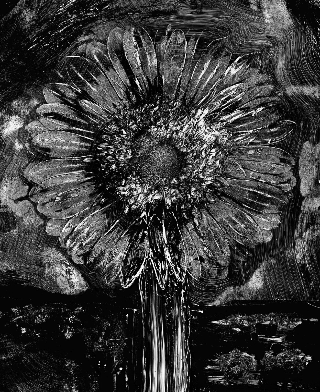 Abelardo Morell Flowers for Lisa #35 Cliche Verre of a sunflower pressed onto glass in black and white