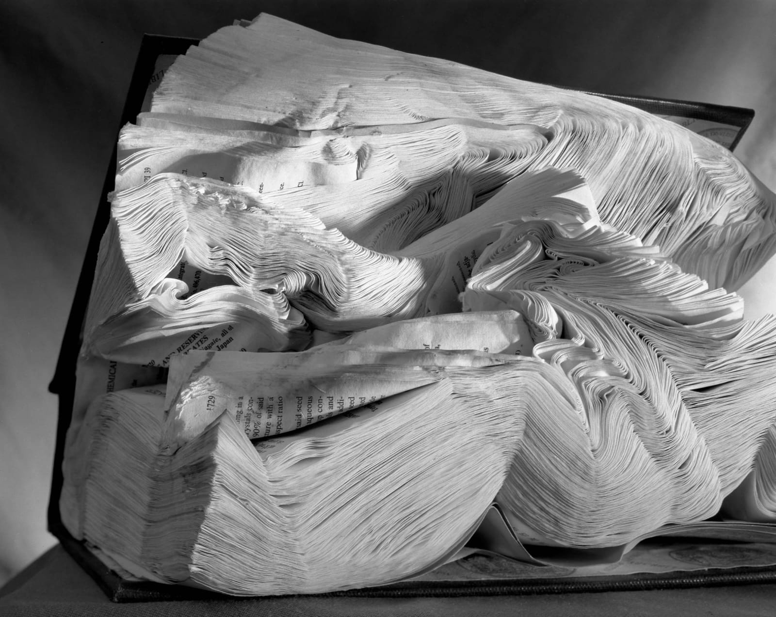 Abelardo Morell Books Book Damaged by Water book with wavy pages in black and white