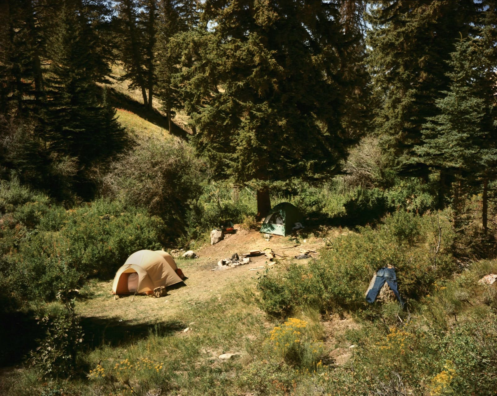Jackson, Wyoming camp site by Stephen Shore