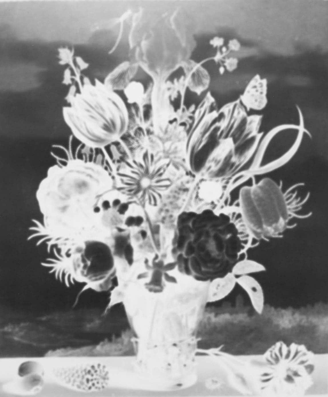 Vera Lutter Ambrosius Bosschaert, Bouquet of Flowers on a Ledge, 1619: September 15 inverse black and white image of floral arrangement in vase 