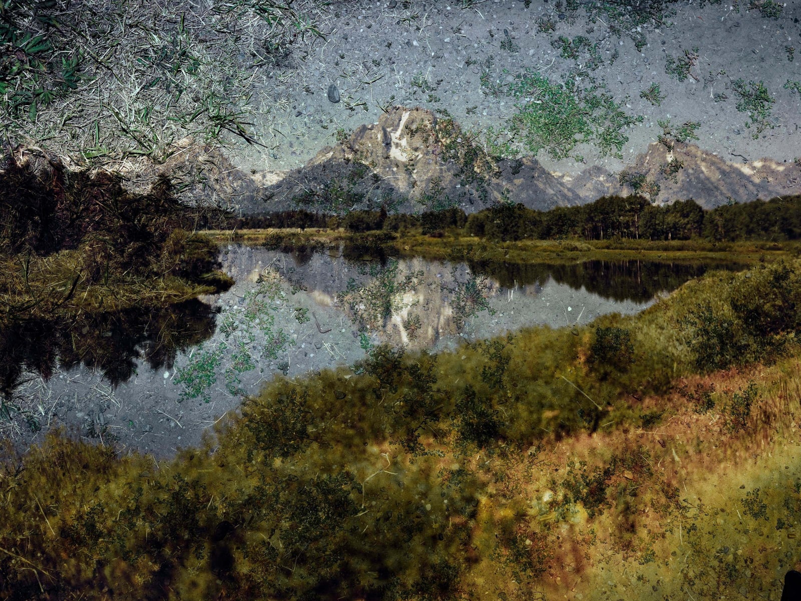 Abelardo Morell Tent Camera Image on Ground View of Mount Moran and the Snake River From Oxbow Bend Grand Teton National Park Wyoming lake and mountain views