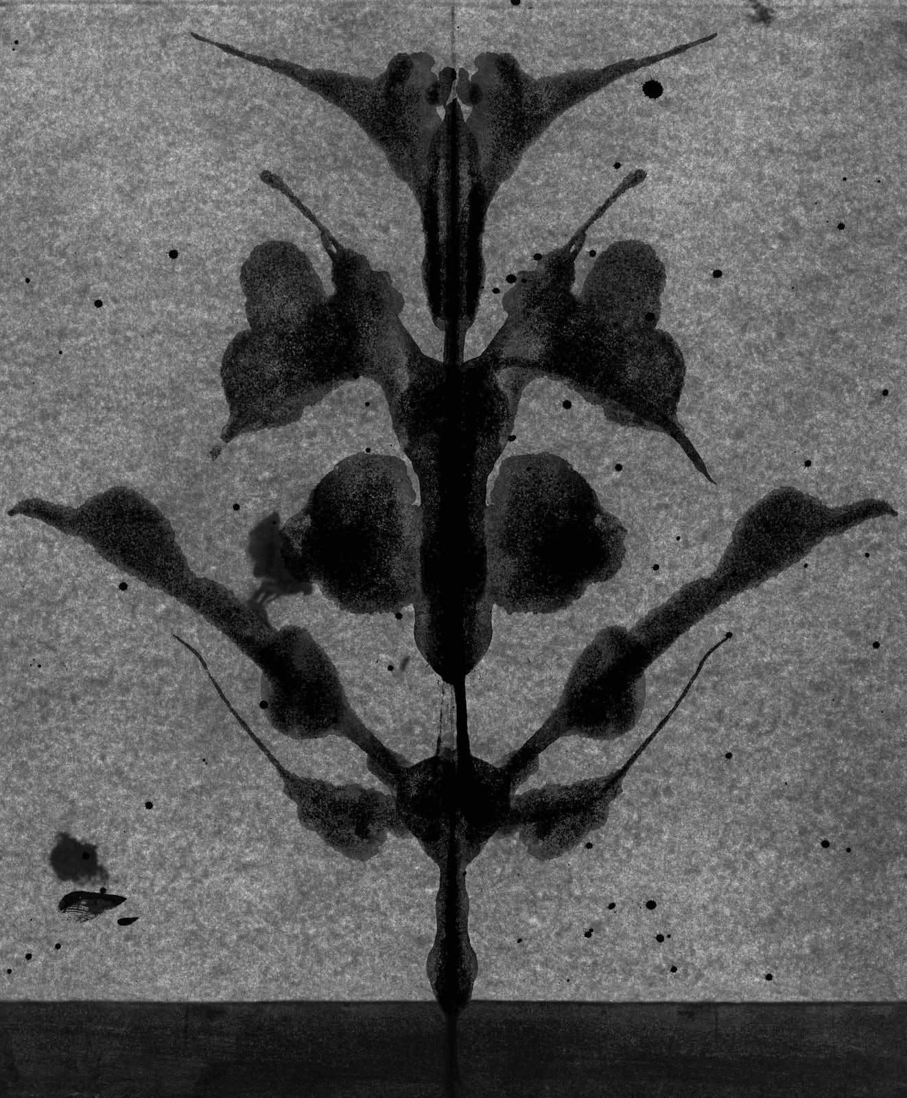 Abelardo Morell Flowers for Lisa #60 Rorschach image of symmetrical blots in shape of a flower black and white