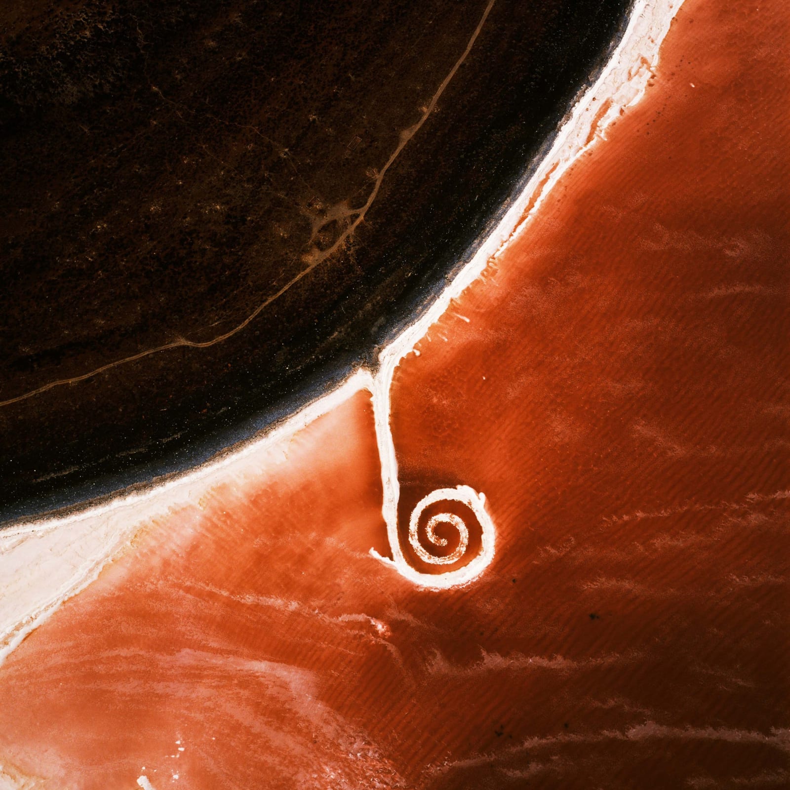 aerial view of Robert Smithson's Spiral Jetty, Great Salt Lake by David Maisel