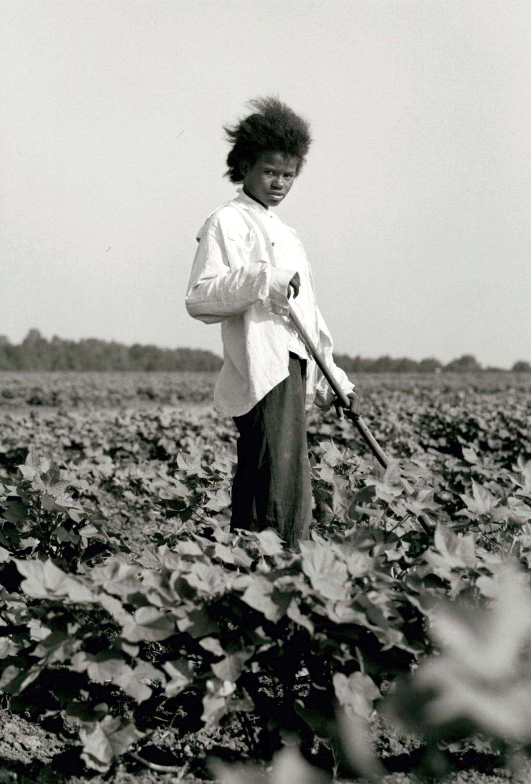 Danny Lyon, Chopping Cotton, Tallahatchie County, Mississippi Delta, 1963