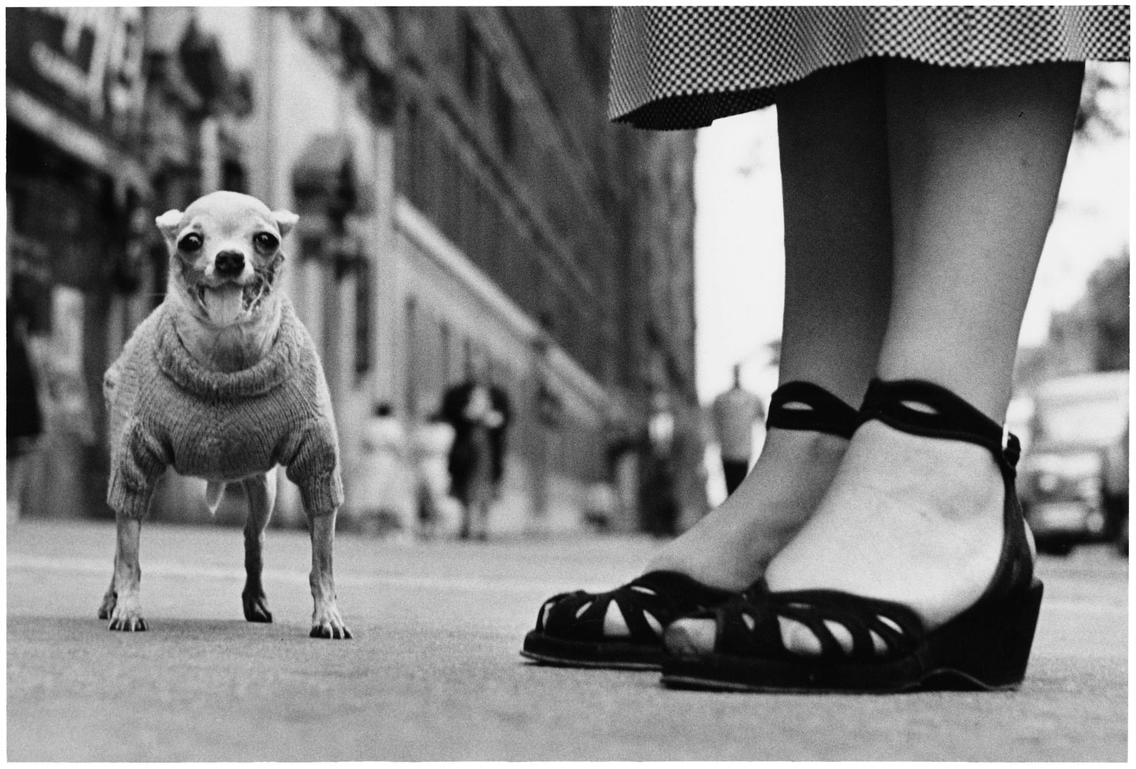 Elliott Erwitt, New York City, 1946