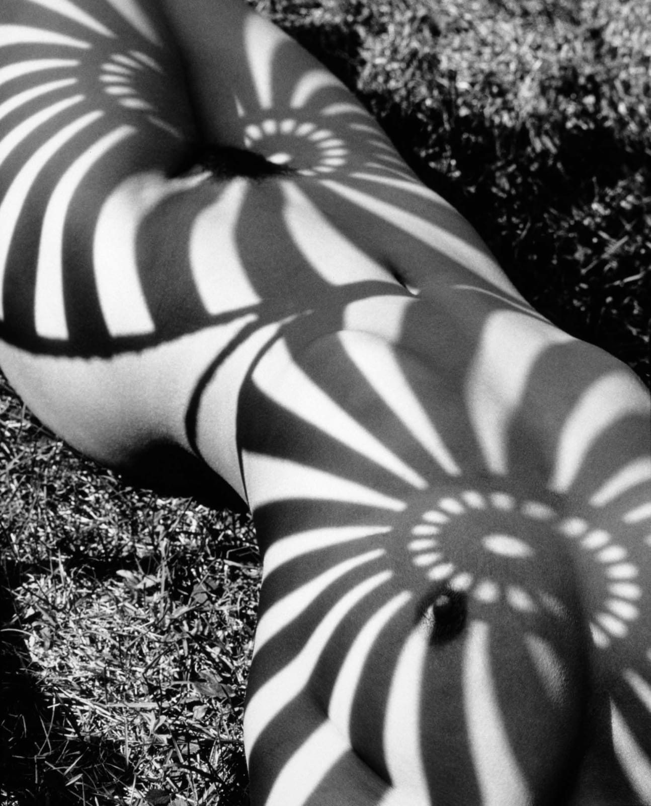 Herb Ritts, Neith with Shadows (Front), Poundridge, 1985