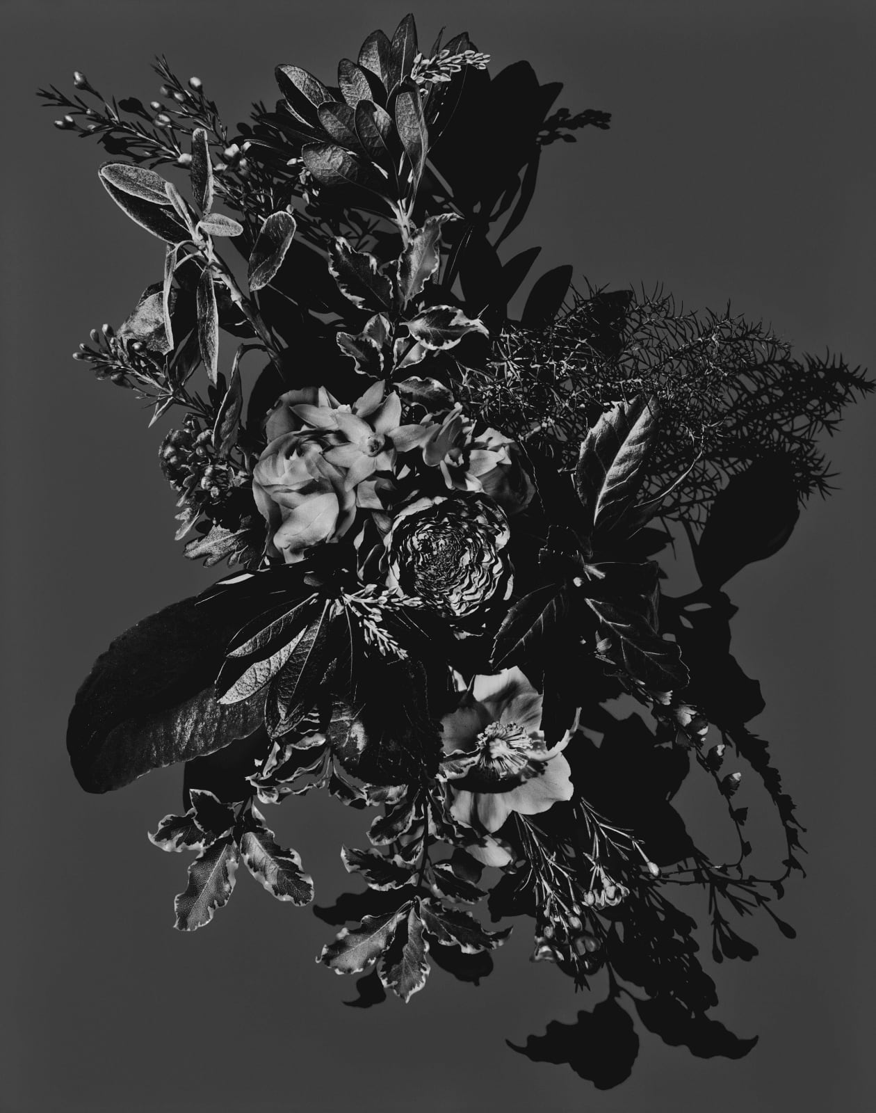 Valerie Belin untitled black and white still life of floral arrangement