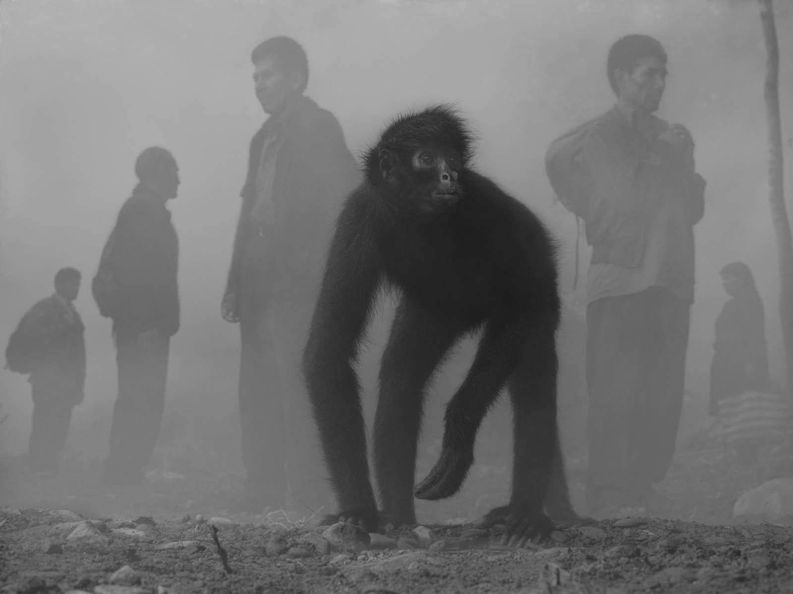 Nick Brandt, Tricia and People in Fog Bolivia, 2022