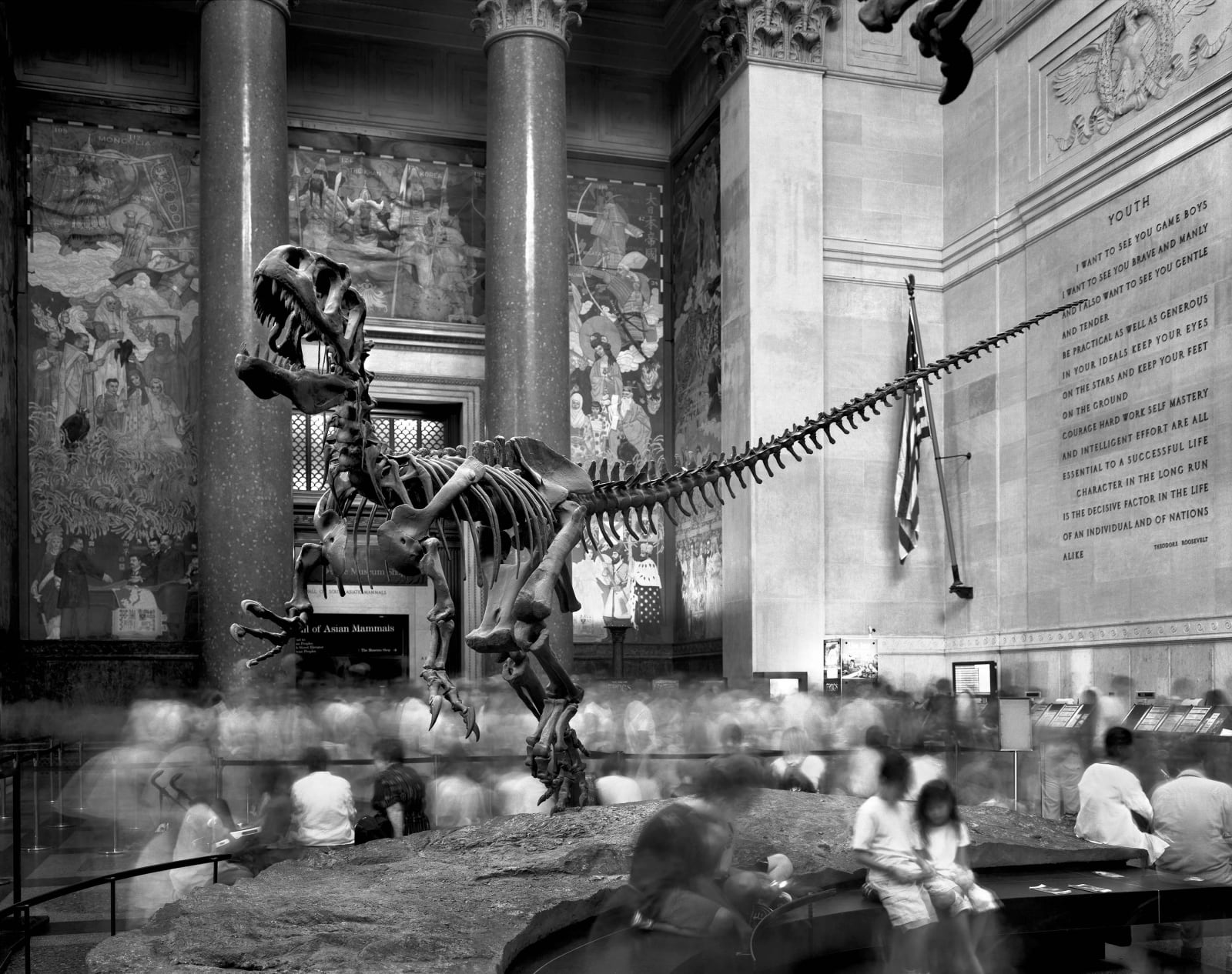 Dinosaur Coming to Life, Museum of Natural History by Matthew Pillsbury