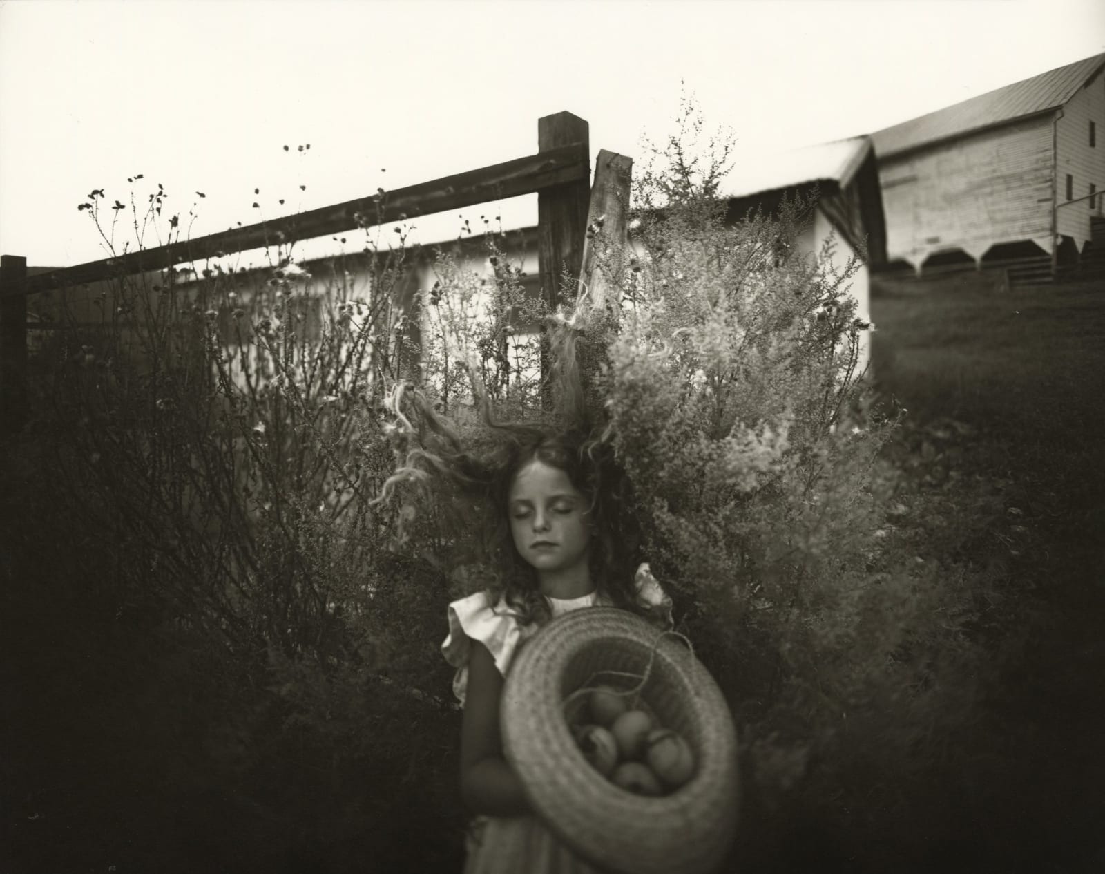 Sally Mann photograph from Immediate Family series of young girl with eyes closed in yard holding basket of eggs with fence and barn in background