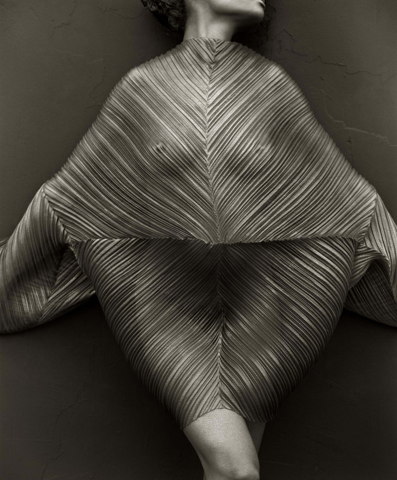 Herb Ritts, Wrapped Torso, Los Angeles, 1989