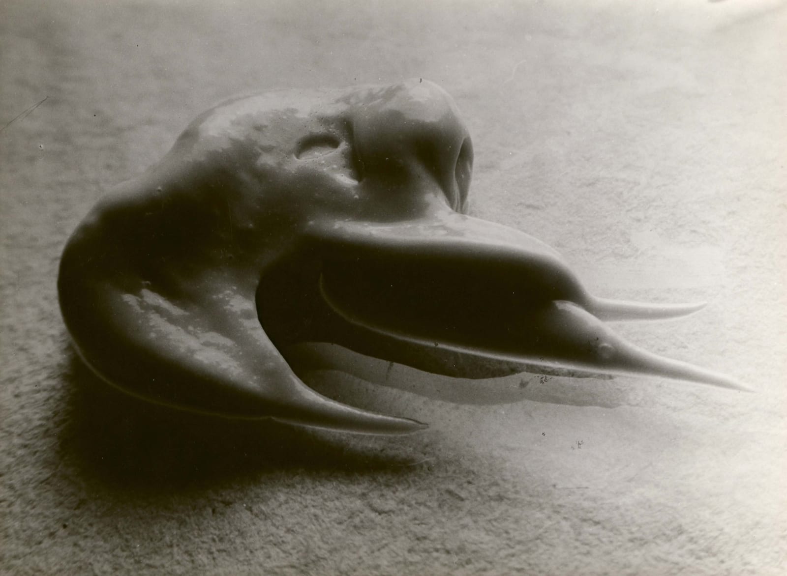 Brassaï, Involuntary Sculpture (The morphological happenstance of oozed toothpaste...), 1933