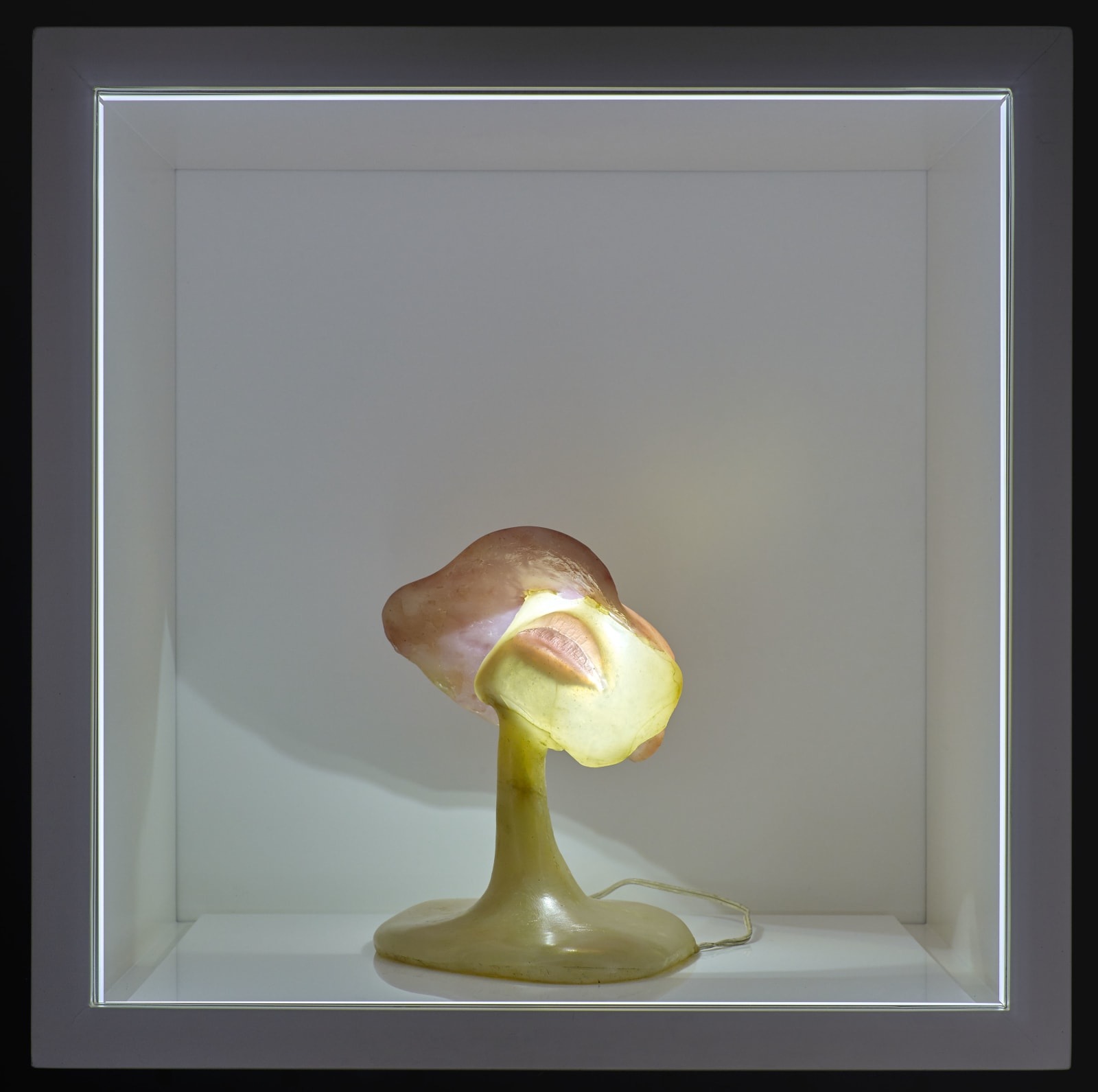 Alina Szapocznikow, Sculpture - Lampe VIII, 1970