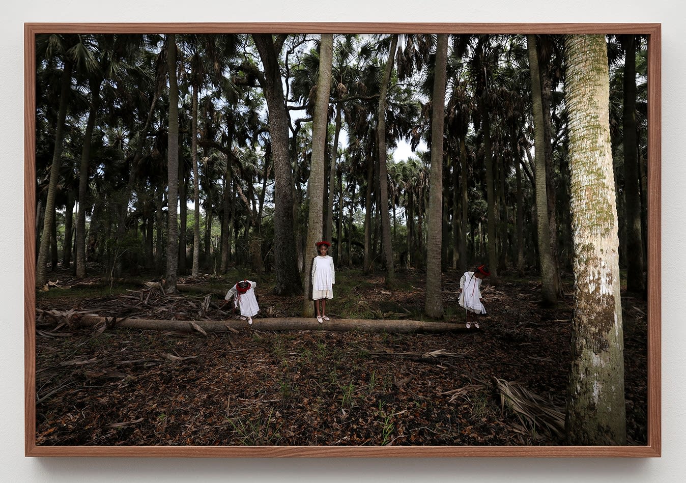 Allison Janae Hamilton, Three girls in sabal palm forest II, 2019