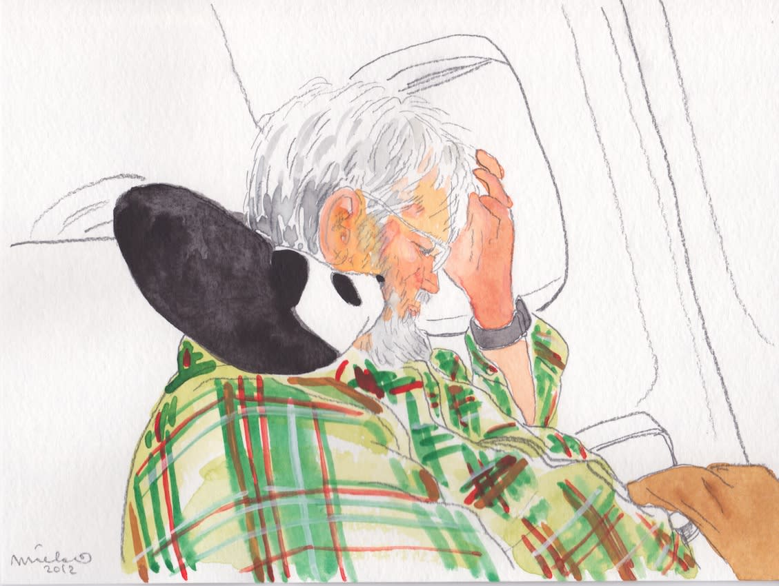 Mieko Meguro, Dan with my panda pillow on an airplane #2, 2012