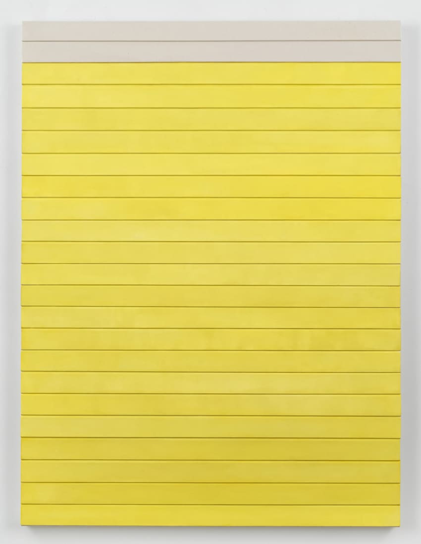 Luke Diiorio, untitled (the maillot jaune), 2017