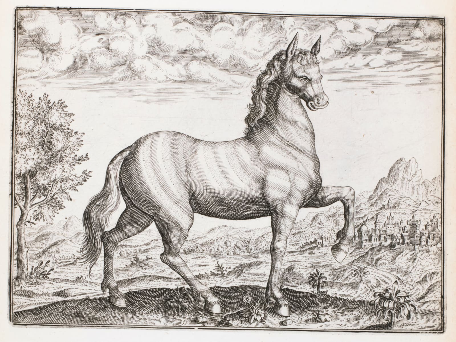 De Bry, Theodore, The small voyages in Latin, 1598-1613. Frankfurt. Wolfgang Richter, Matthaeus Becker.