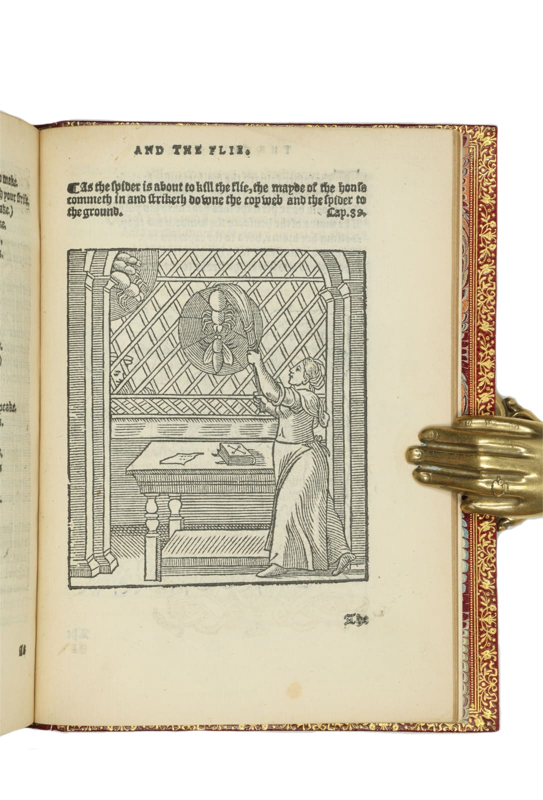 Heywood, John (1497? - 1578?), The Spider and the Flie. A parable of the Spider and the Flie, 1556. London. Flete Streete by Thomas Povvell.