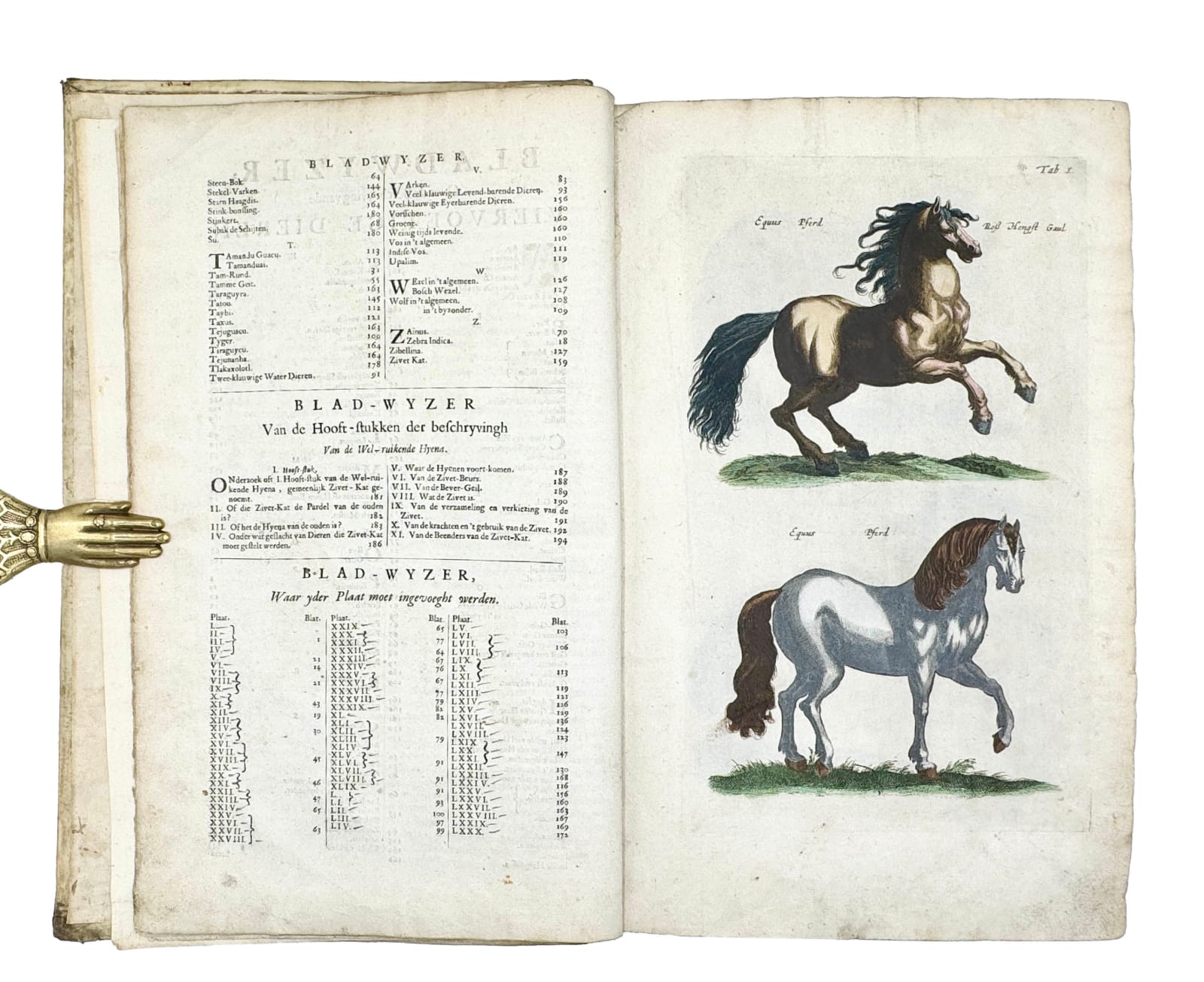 Jonston, Johannes (Matthias GRAUS, translator), Naeukeurige beschryving van de natuur der vier-voetige dieren, vissen en bloedlooze water-dieren, vogelen, kronkel-dieren, slangen en draken, Amsterdam, Jan Jacobsz. Schipper, 1660.