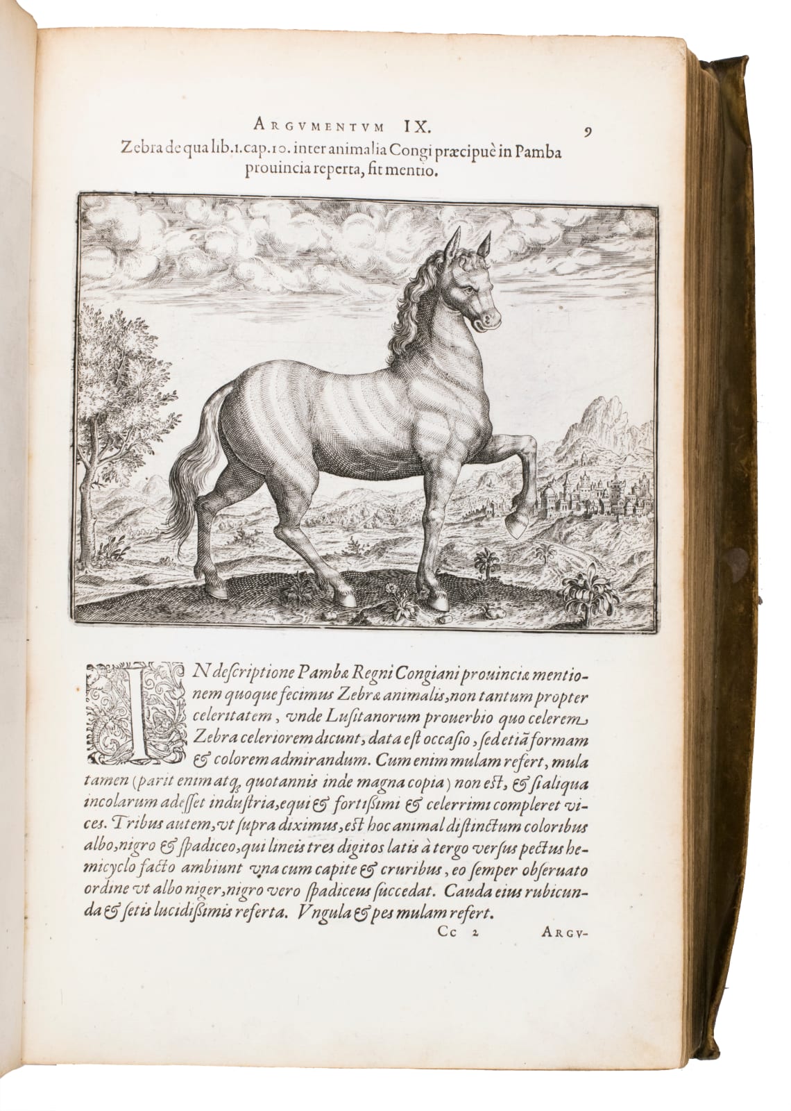 De Bry, Theodore, The small voyages in Latin, 1598-1613. Frankfurt. Wolfgang Richter, Matthaeus Becker.